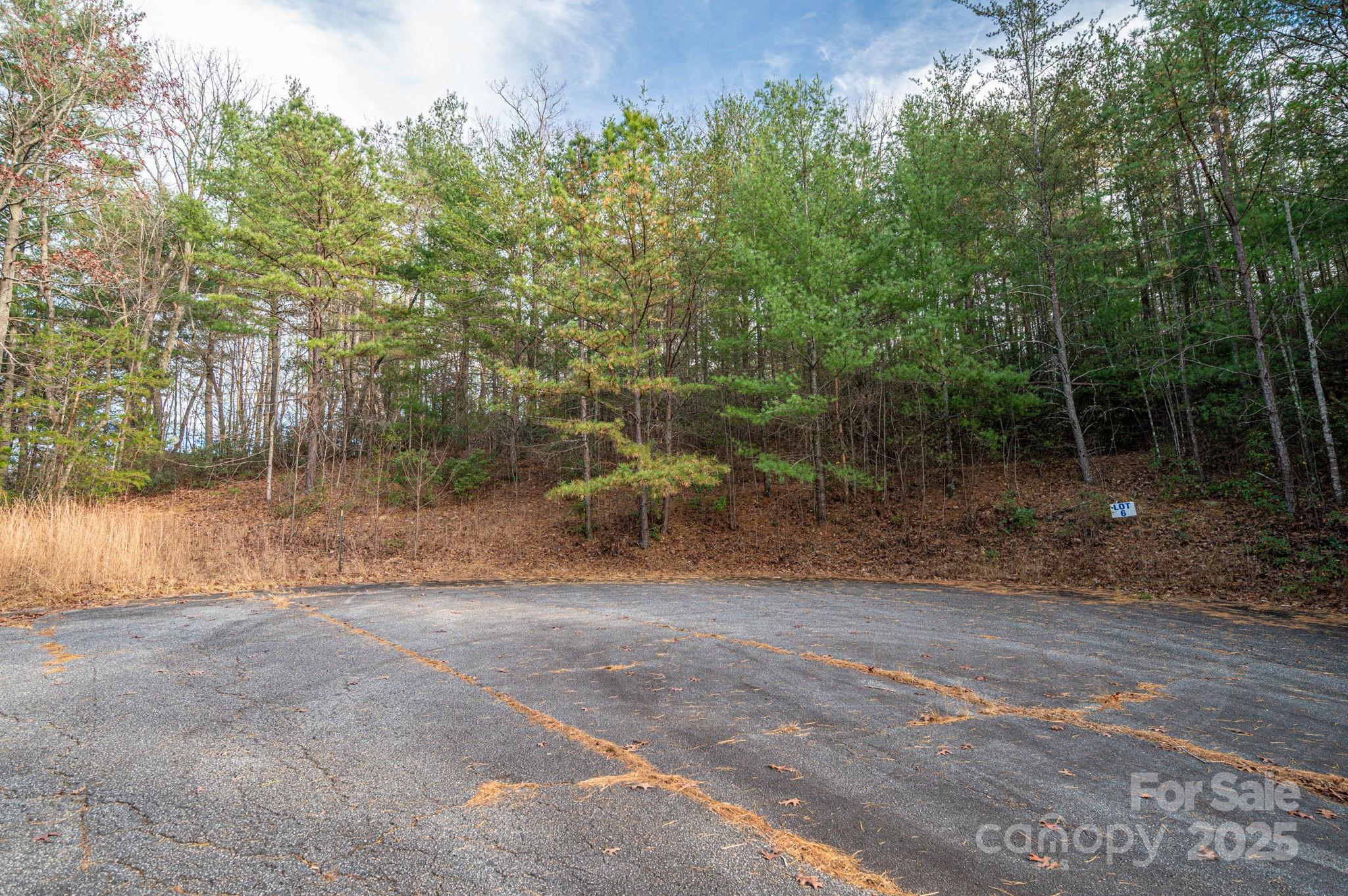 3129 Mountain Laurel Drive Property Photo 8