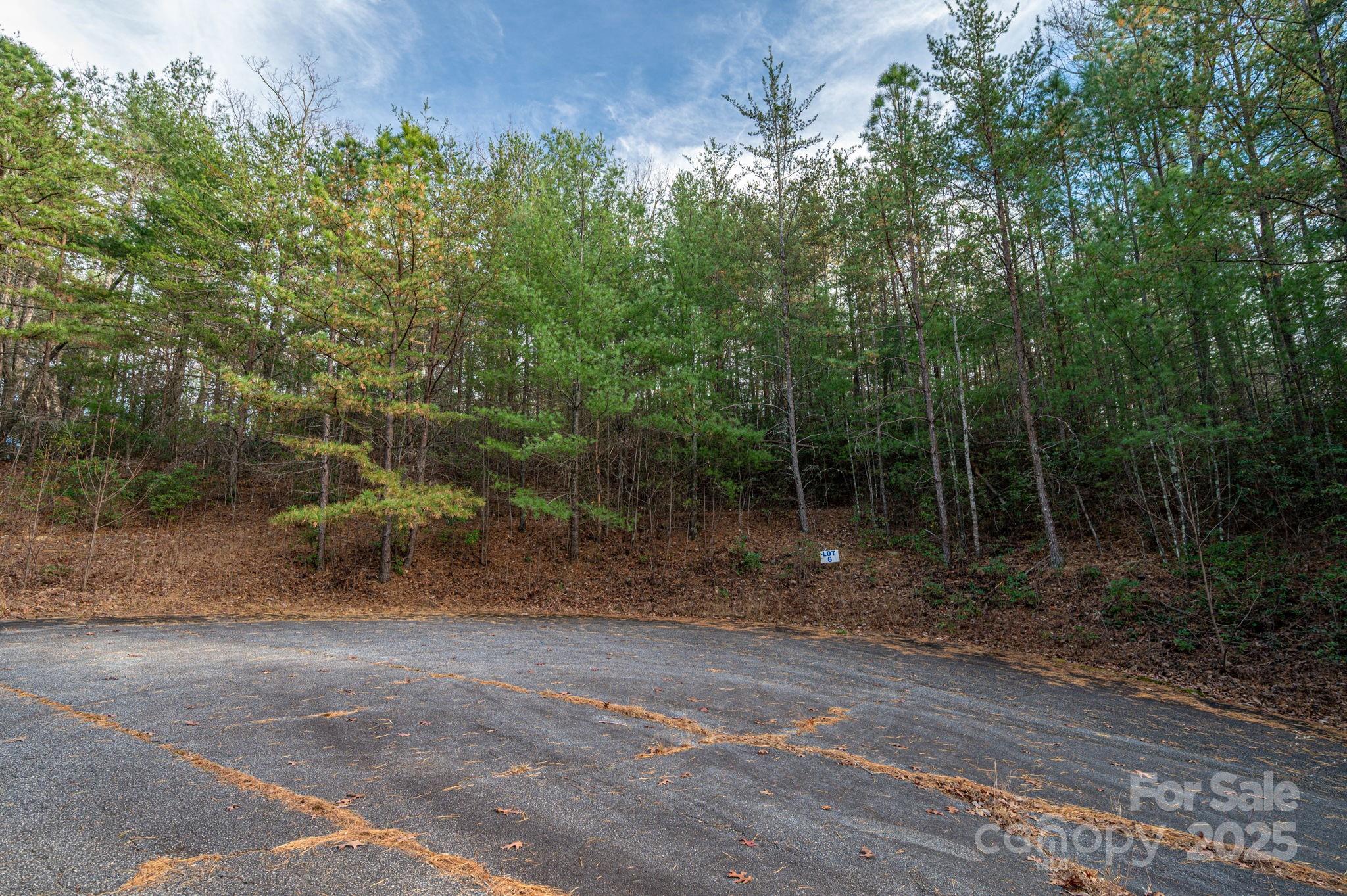 3129 Mountain Laurel Drive Property Photo 9