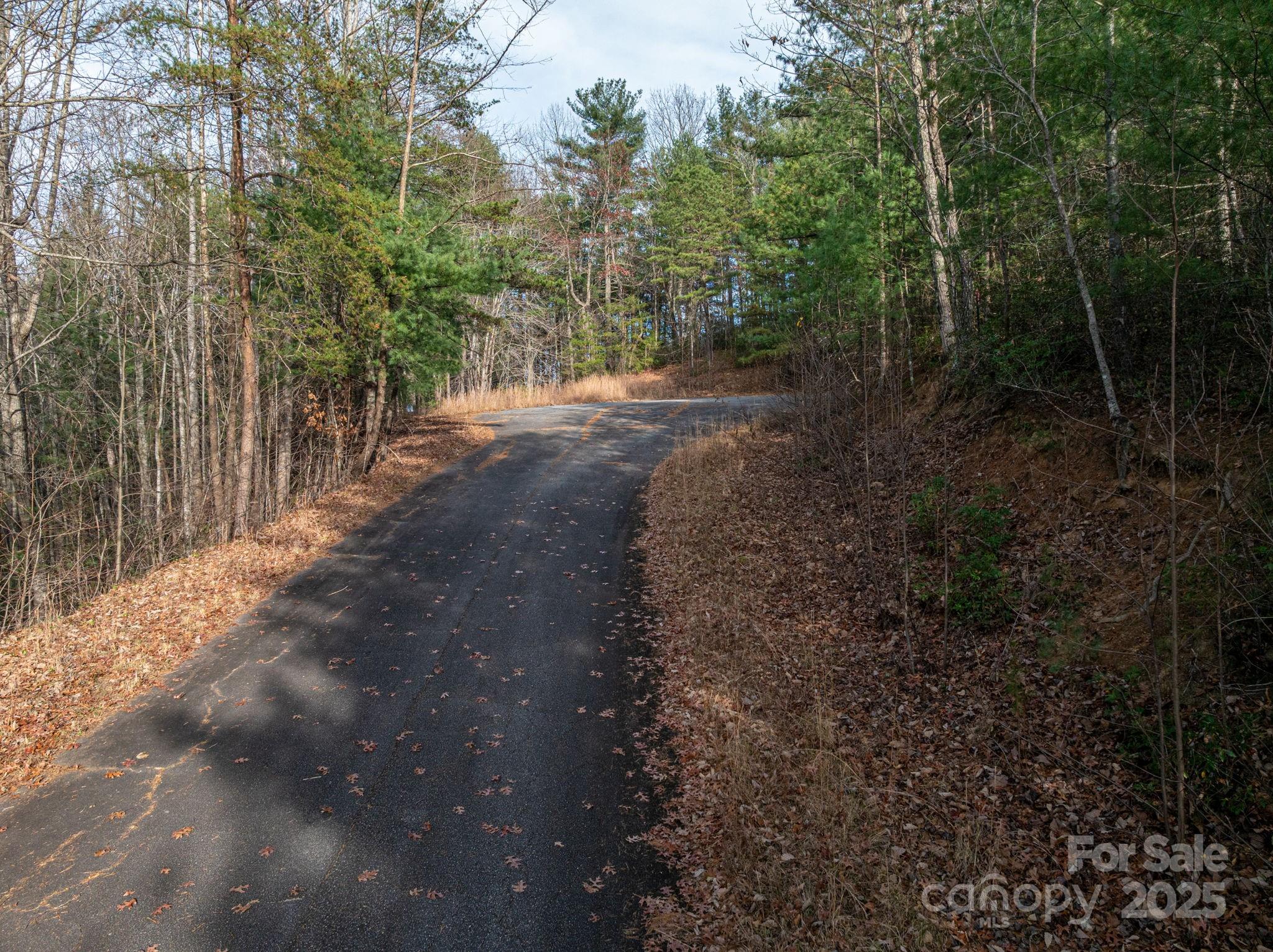 3129 Mountain Laurel Drive Property Photo 10