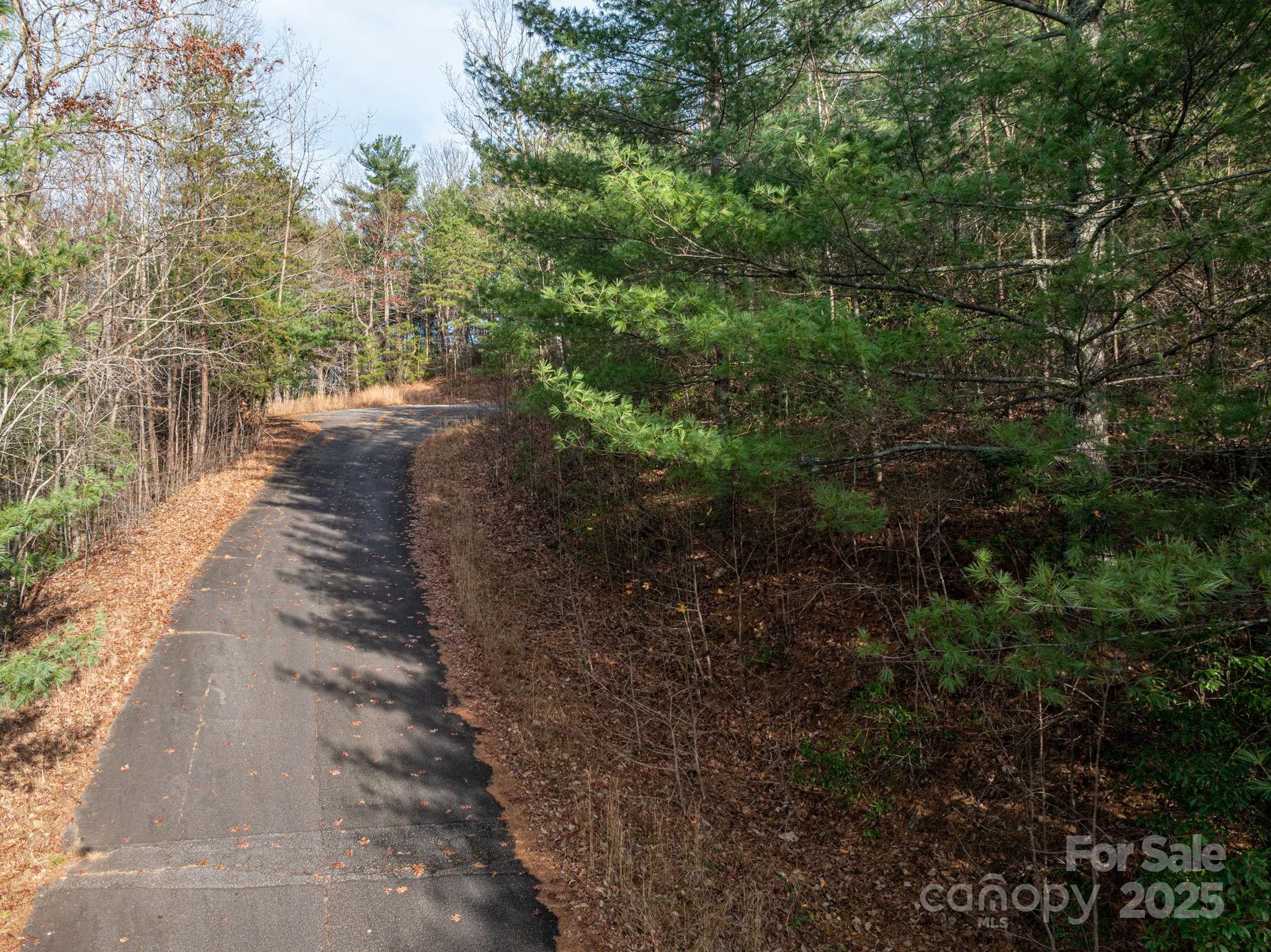 3129 Mountain Laurel Drive Property Photo 11