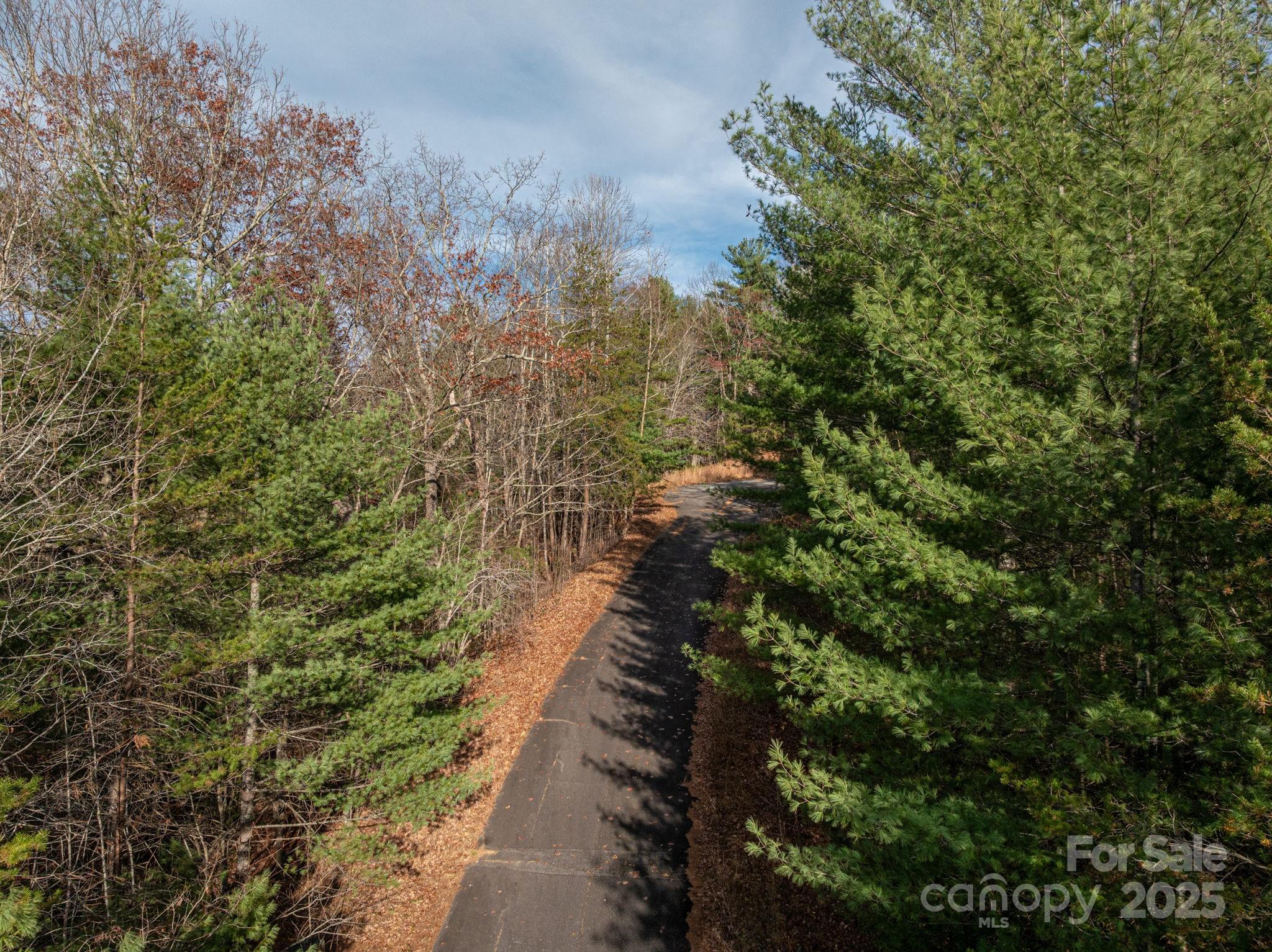 3129 Mountain Laurel Drive Property Photo 12