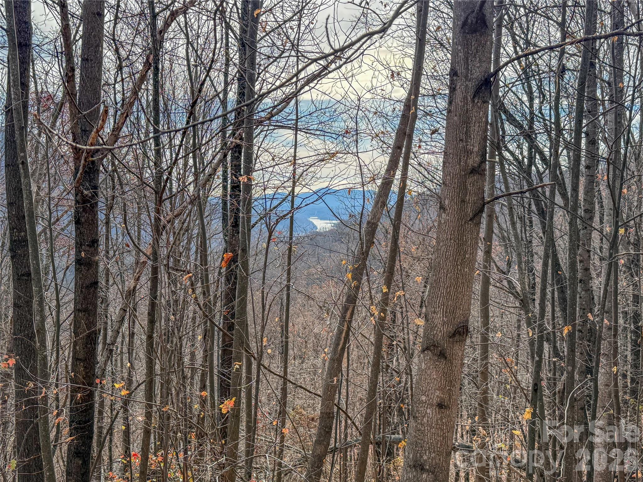 Lot 375 Rolling Ridge Trail Property Photo 1