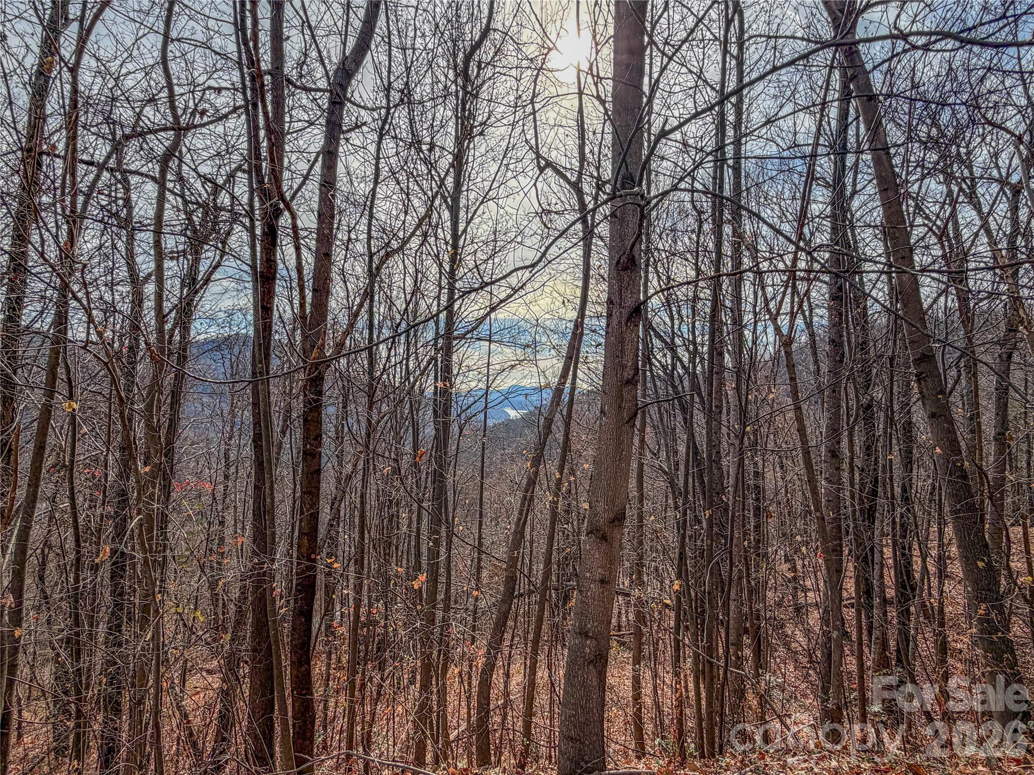 Lot 375 Rolling Ridge Trail Property Photo 2