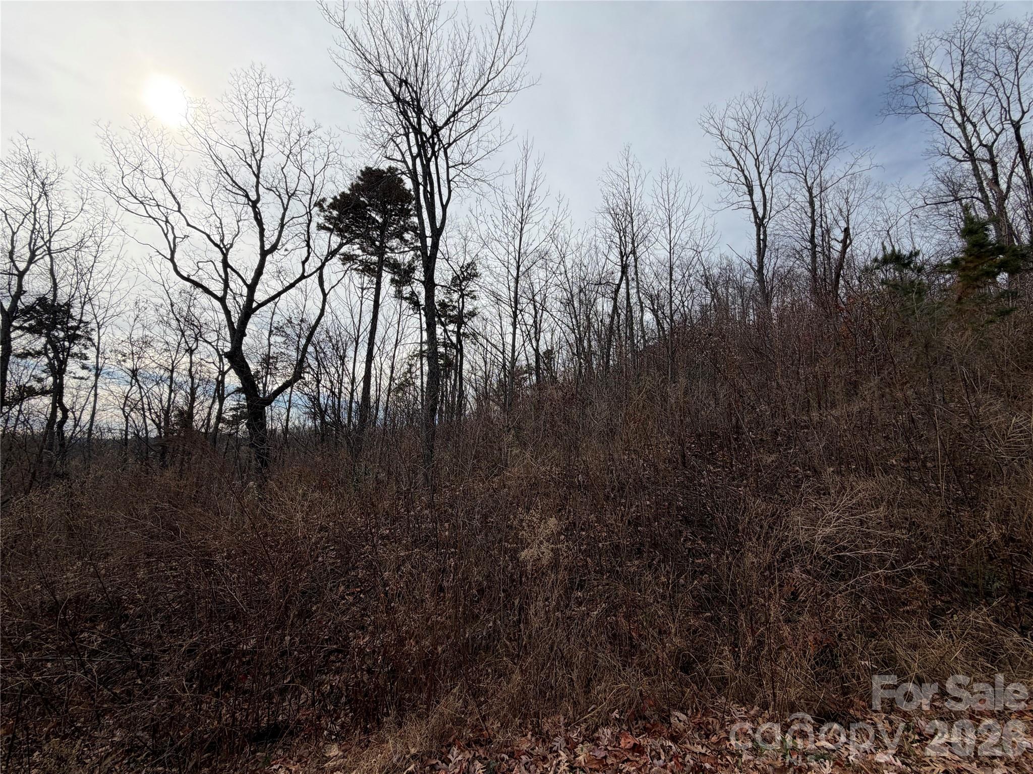 Lot 375 Rolling Ridge Trail Property Photo 3