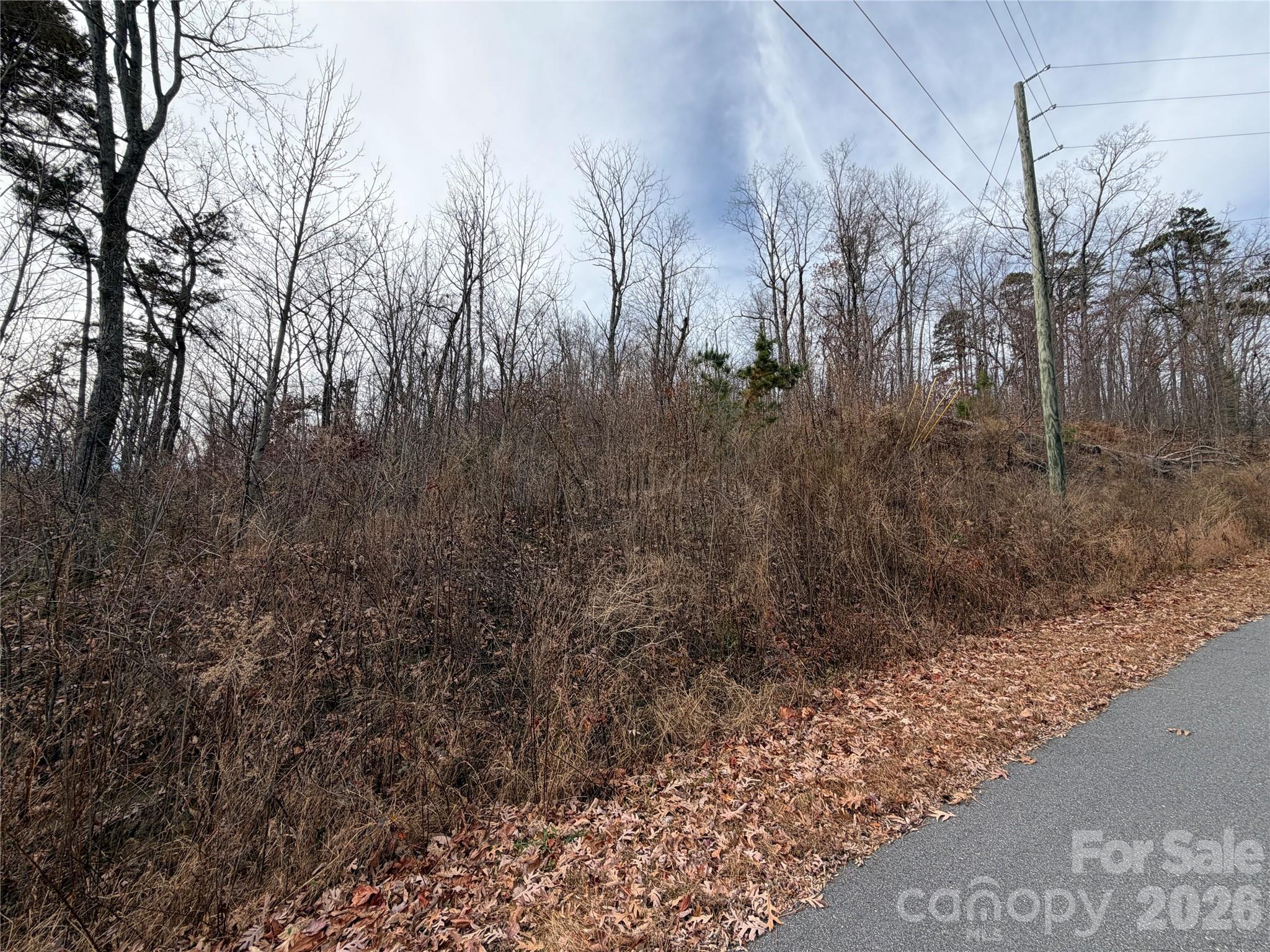 Lot 375 Rolling Ridge Trail Property Photo 4