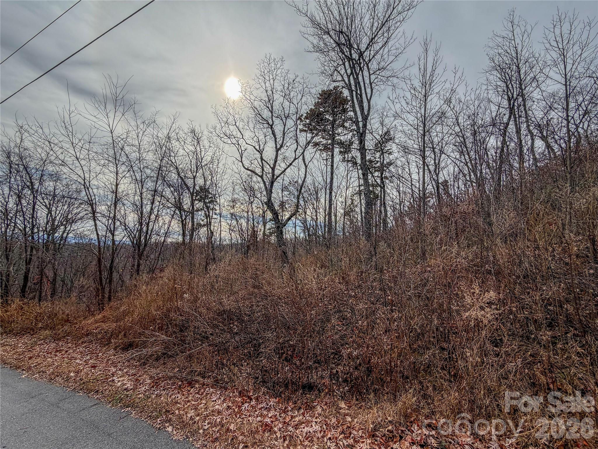 Lot 375 Rolling Ridge Trail Property Photo 5