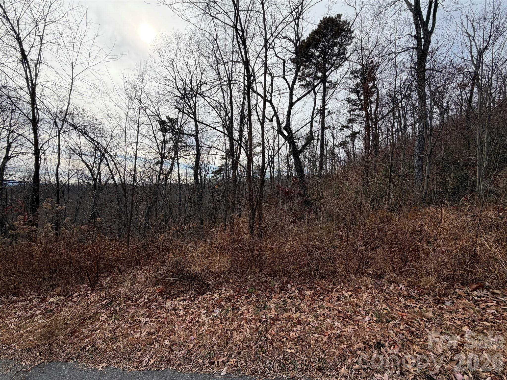 Lot 375 Rolling Ridge Trail Property Photo 6