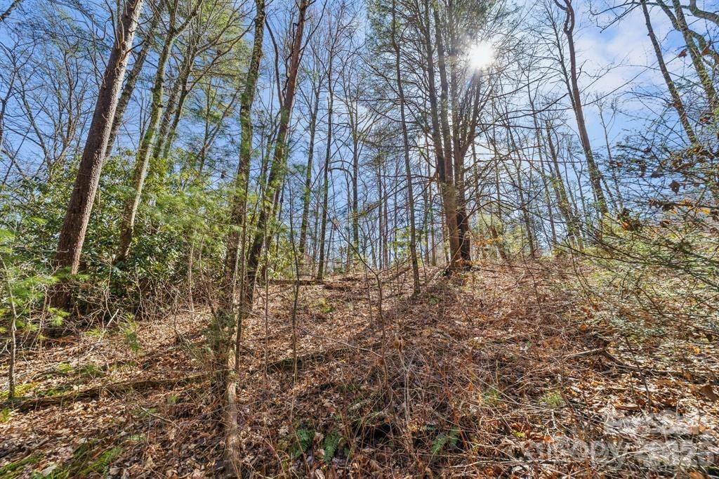 99999 Parker Road Property Photo 7