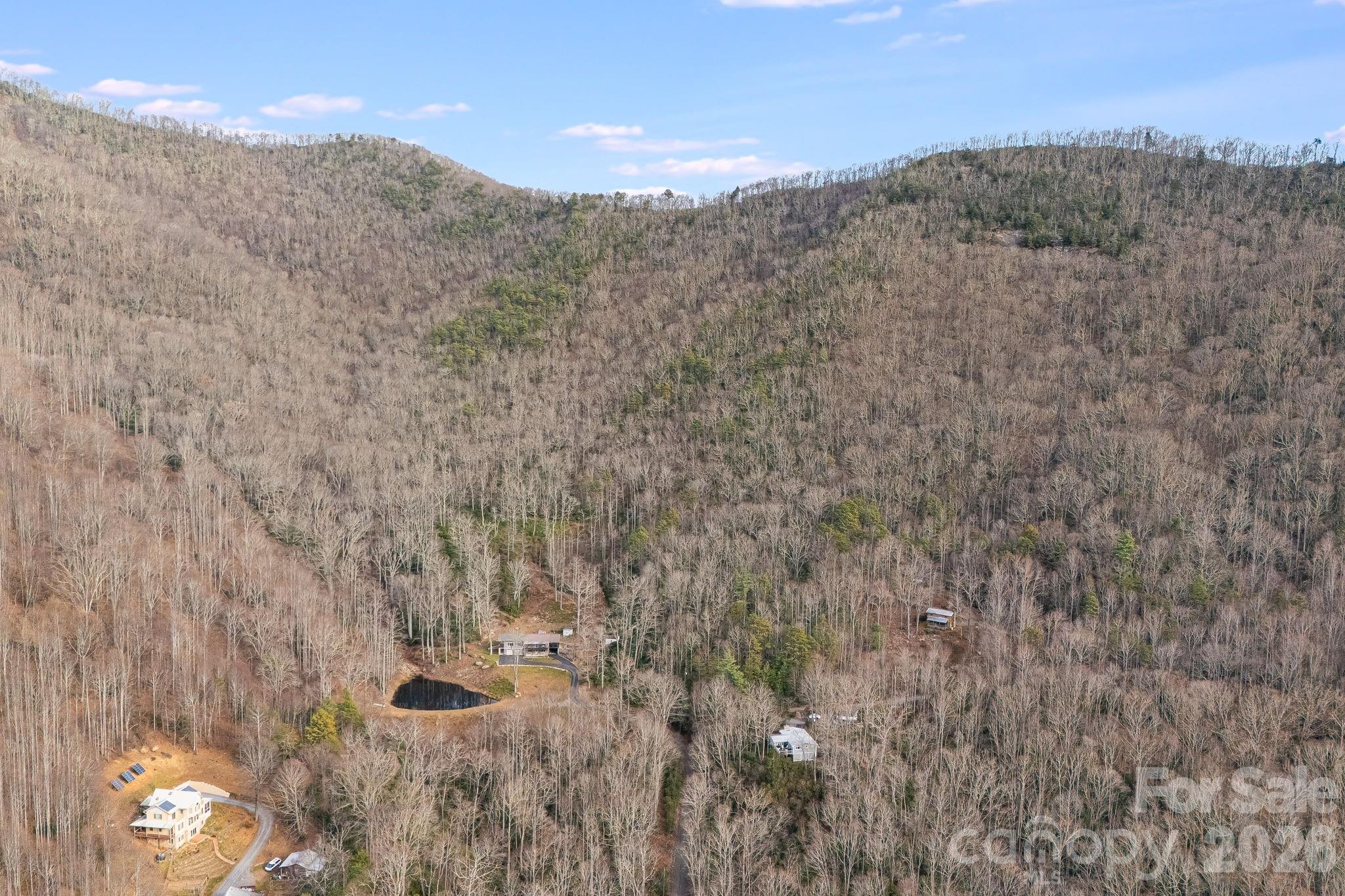 99999 Walker Mountain Lane Property Photo 4