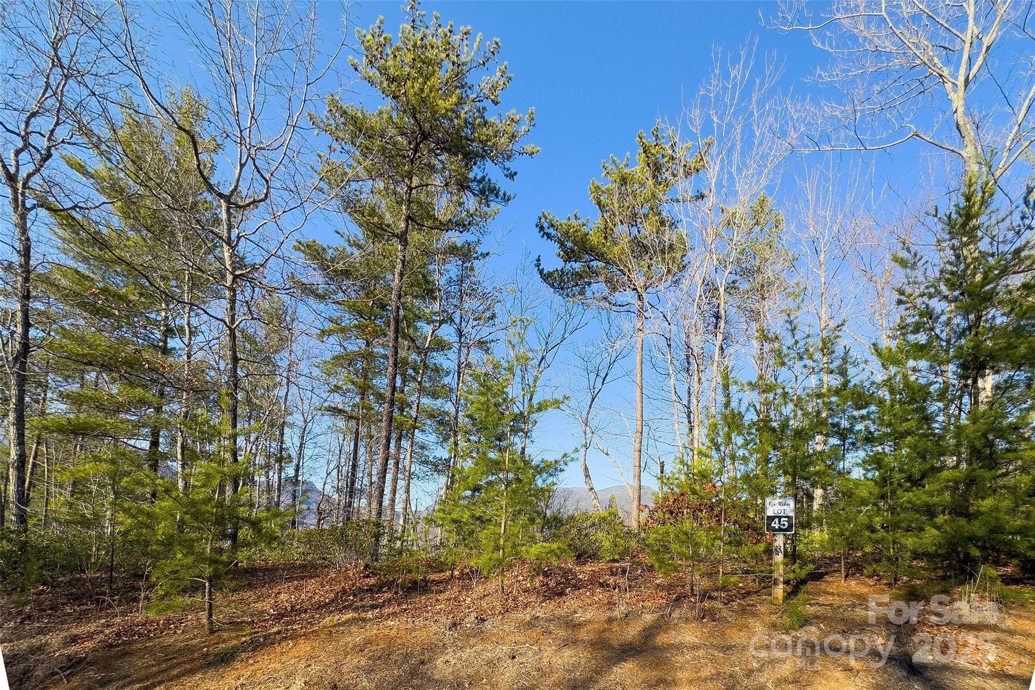Lot #45 Fox Ridge Trail Property Photo 1