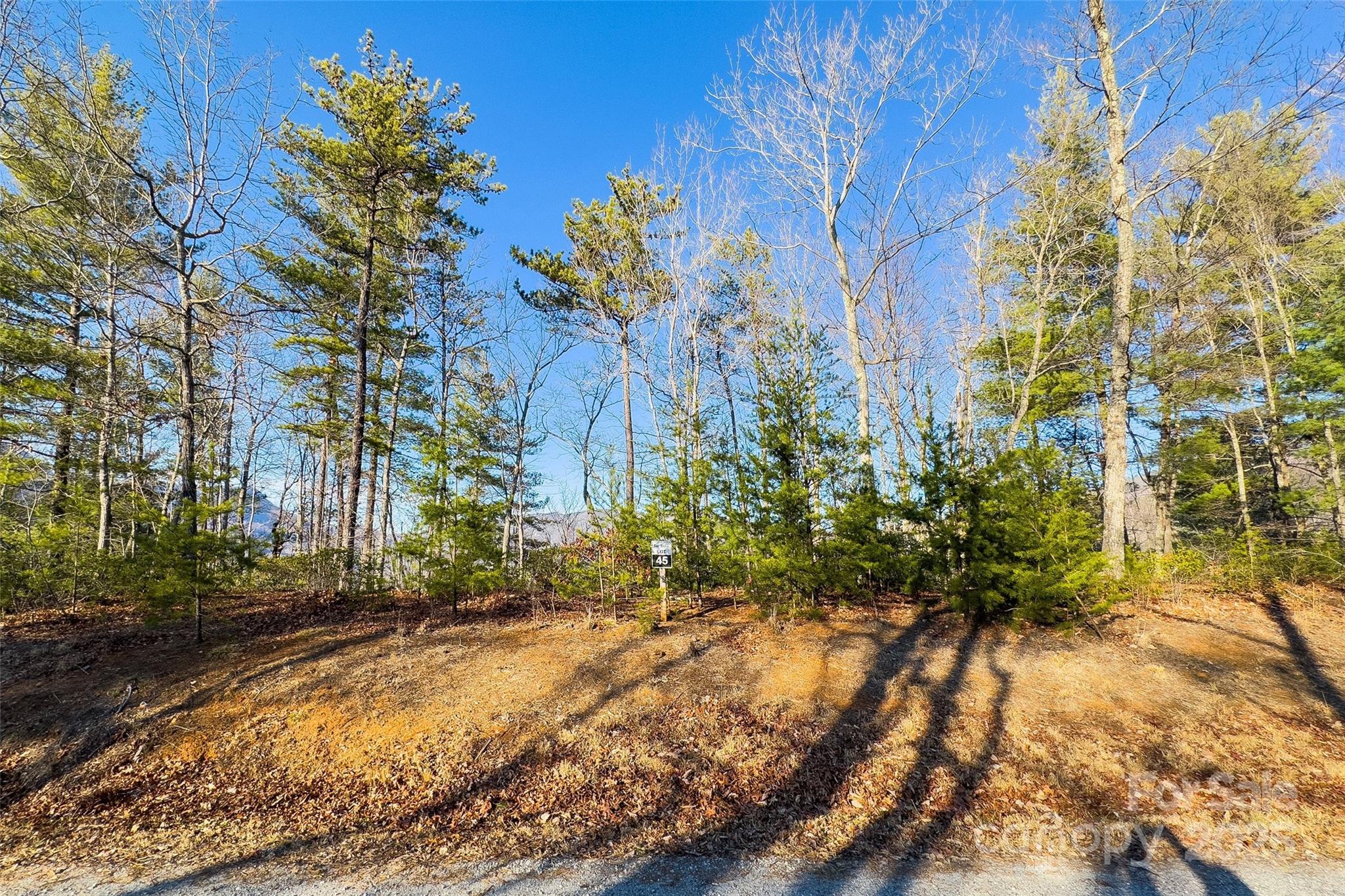 Lot #45 Fox Ridge Trail Property Photo 2