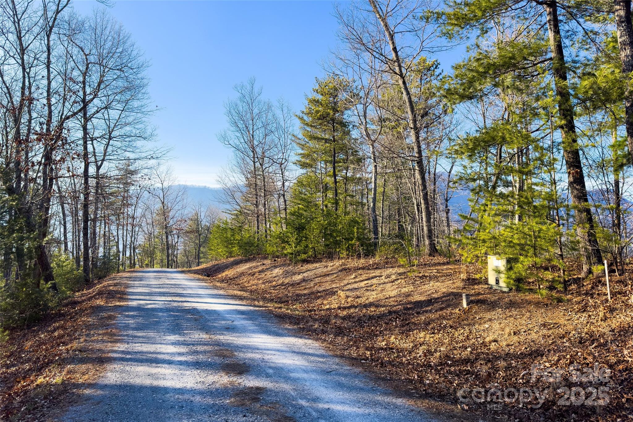 Lot #45 Fox Ridge Trail Property Photo 4