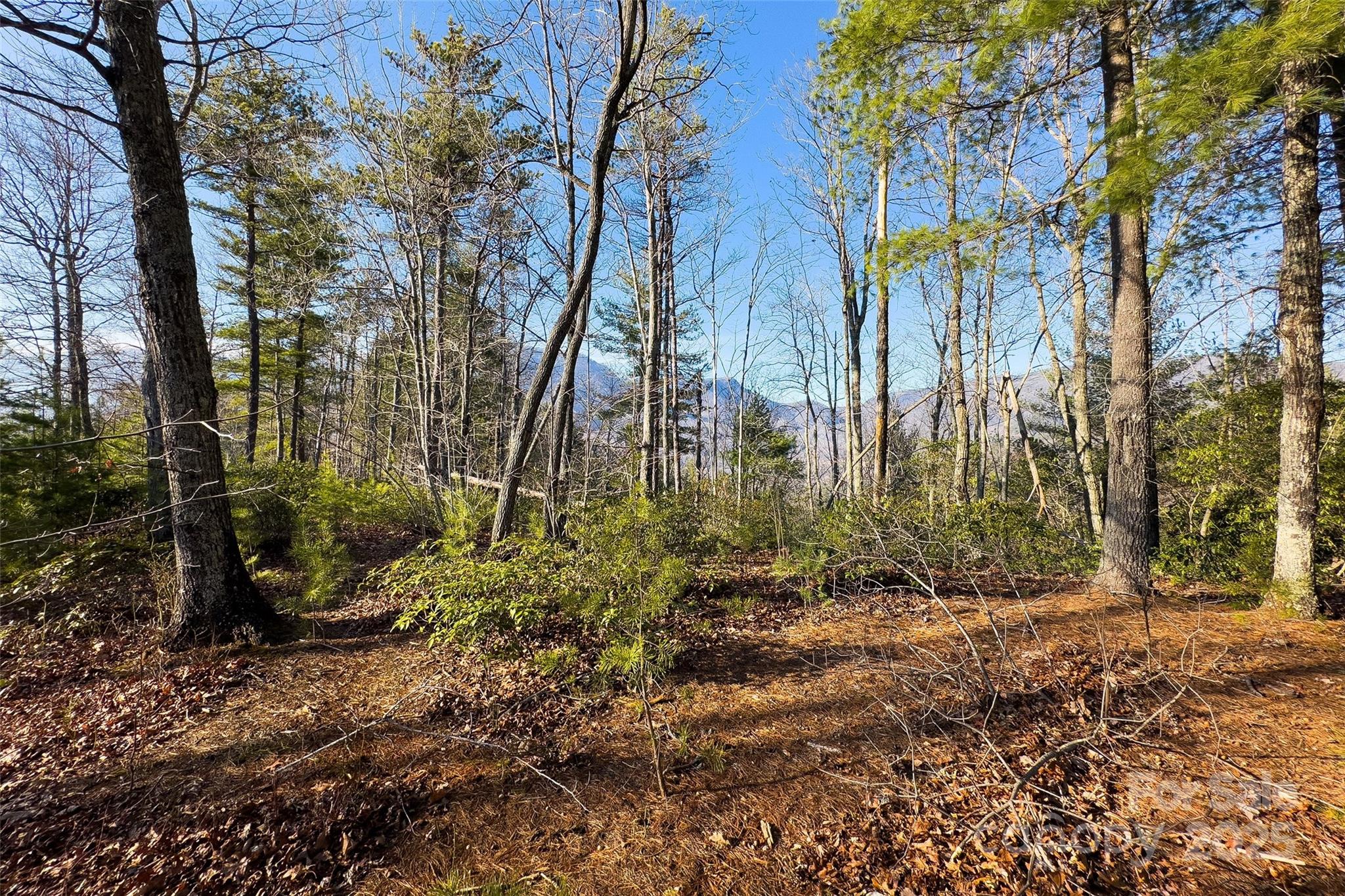 Lot #45 Fox Ridge Trail Property Photo 5
