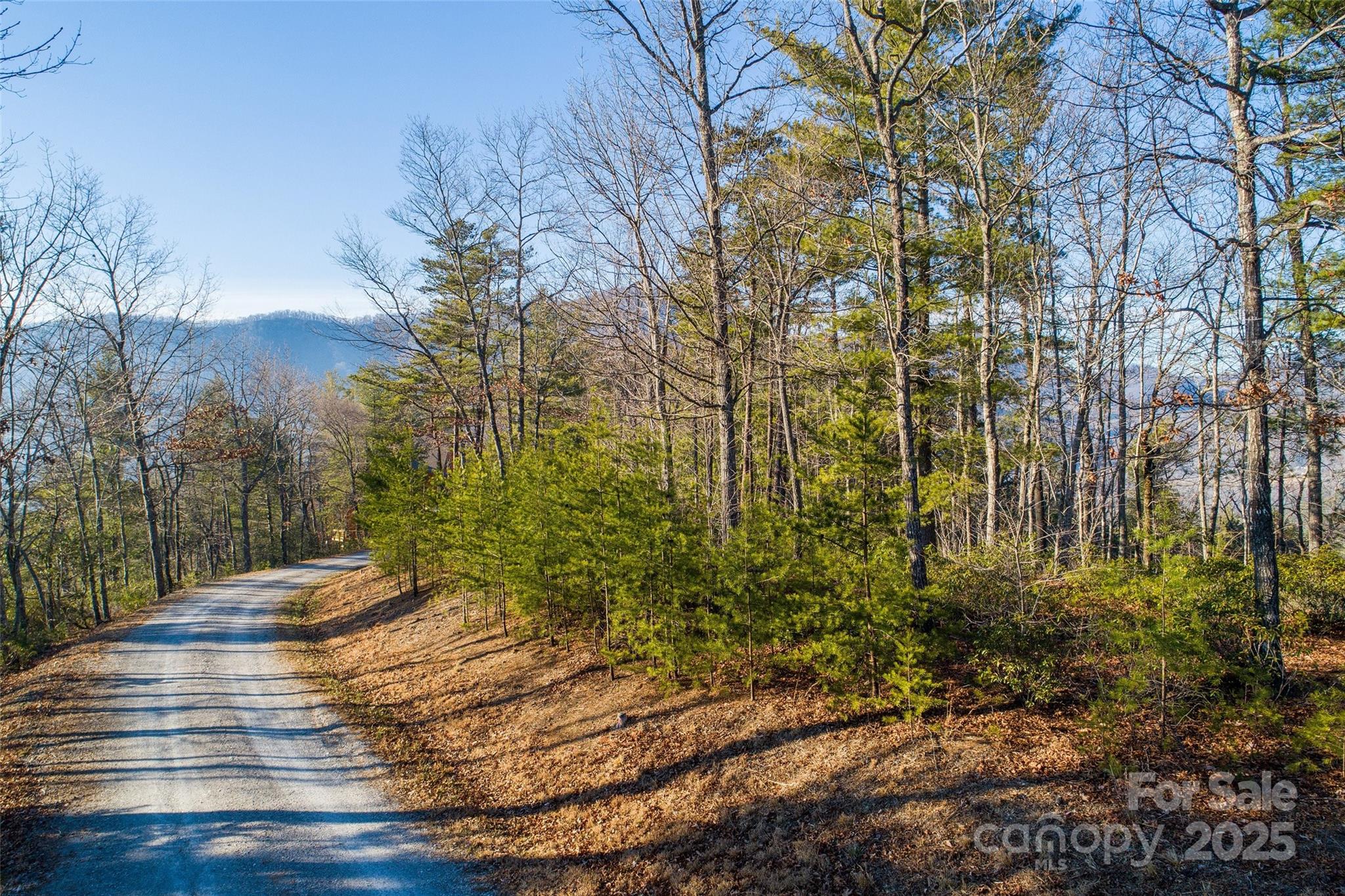 Lot #45 Fox Ridge Trail Property Photo 6