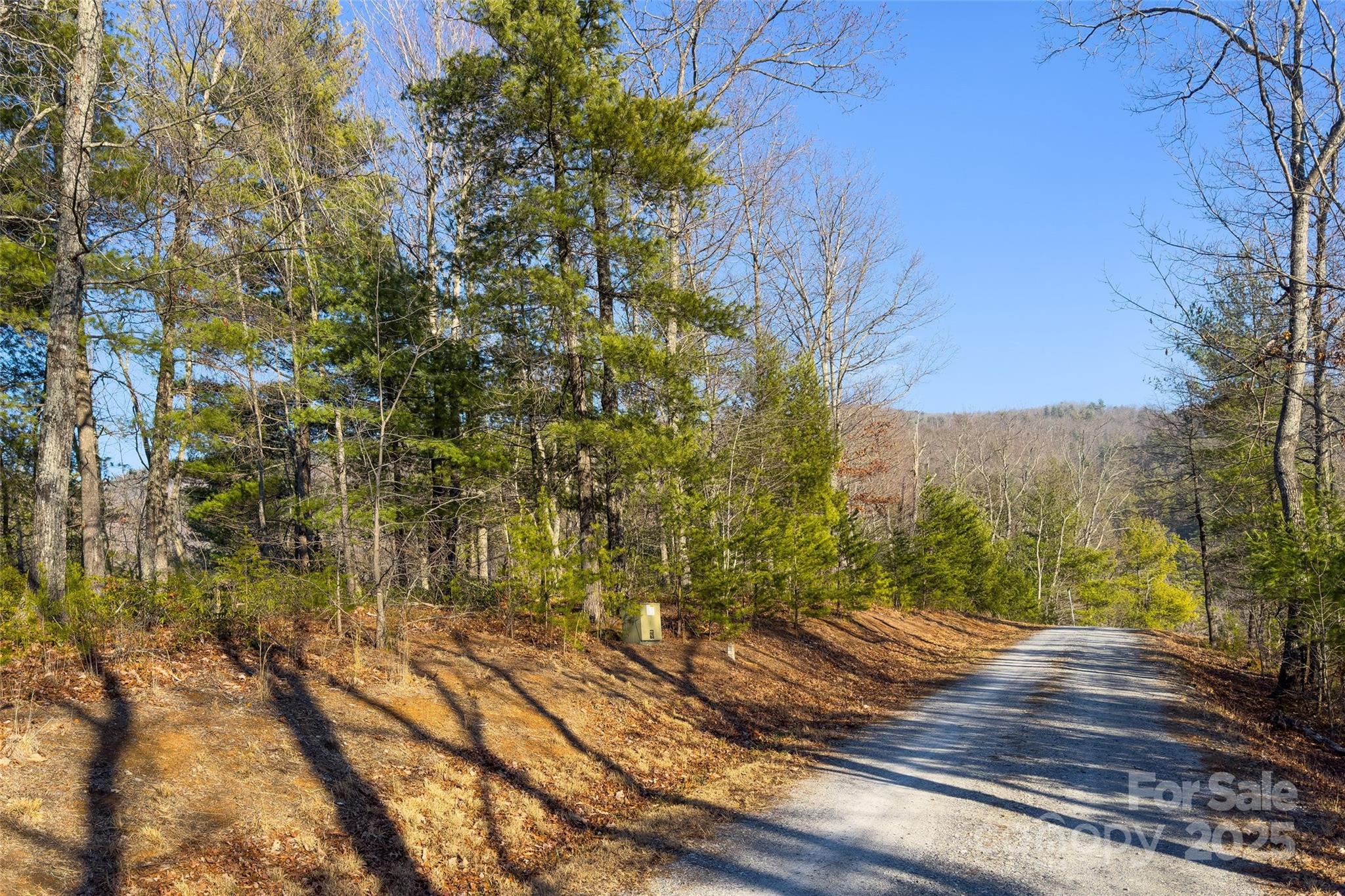 Lot #45 Fox Ridge Trail Property Photo 7