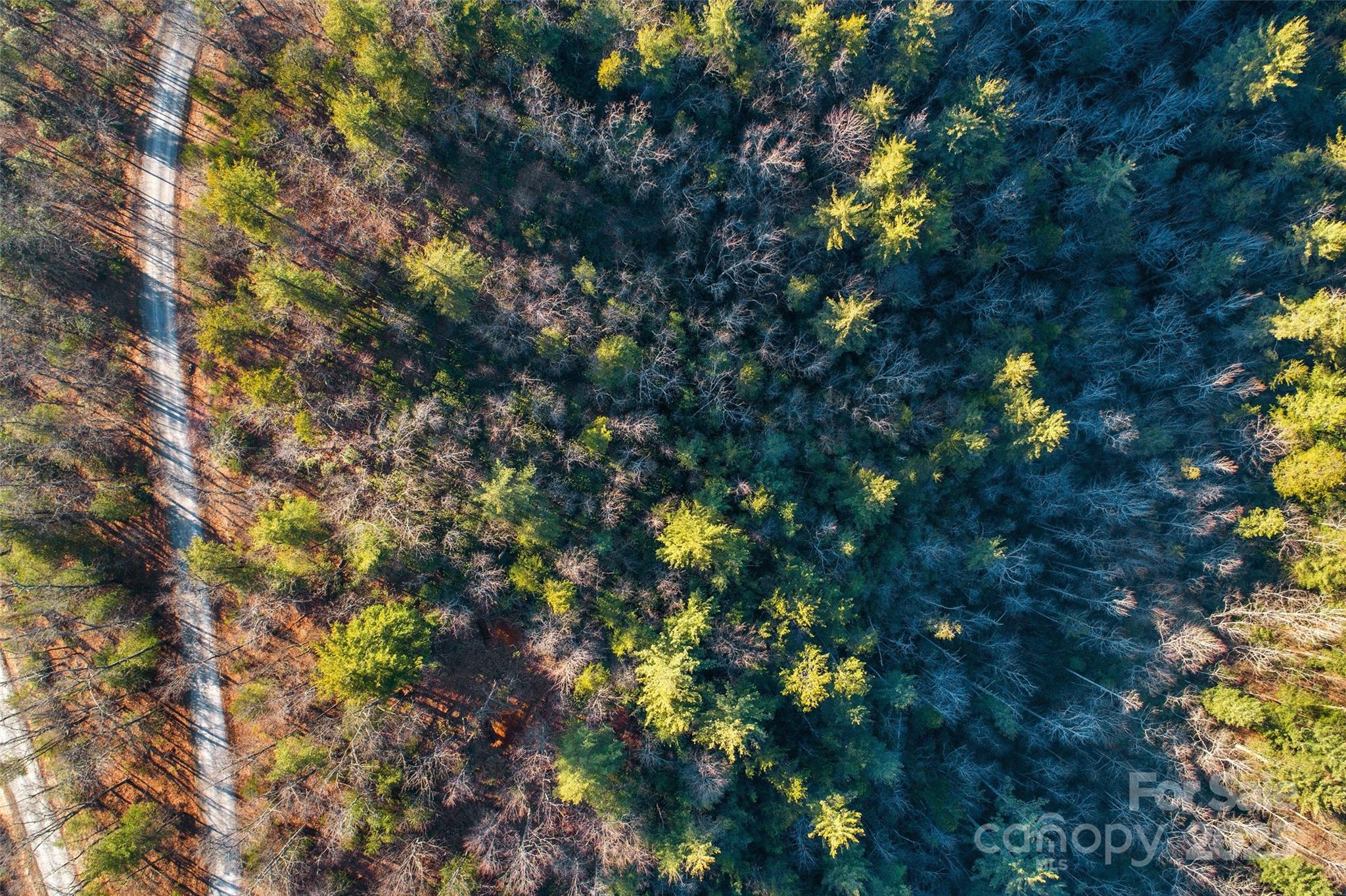 Lot #45 Fox Ridge Trail Property Photo 14