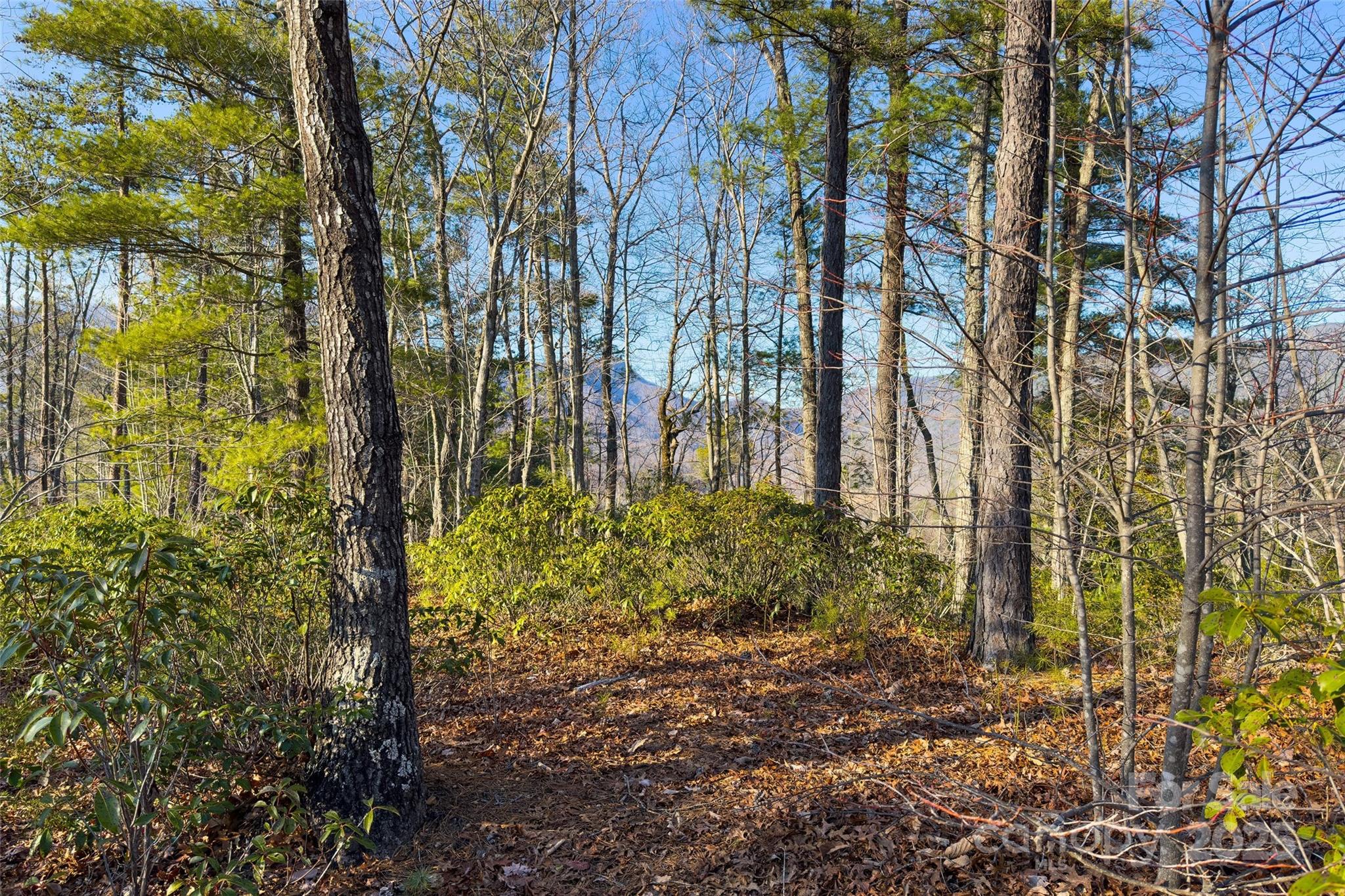Lot #45 Fox Ridge Trail Property Photo 15