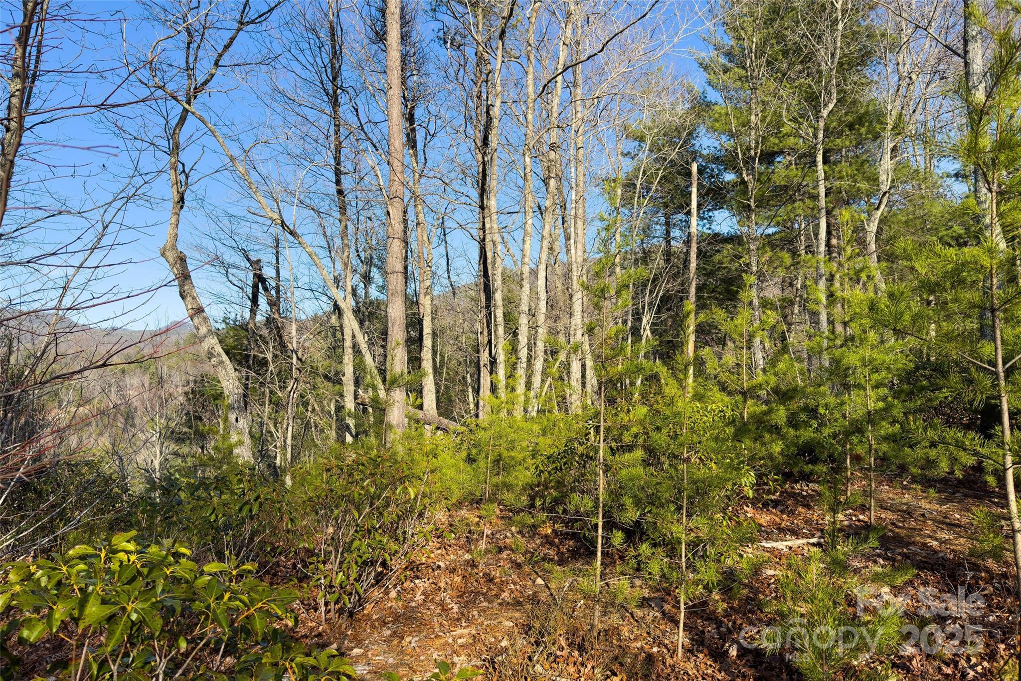 Lot #45 Fox Ridge Trail Property Photo 16