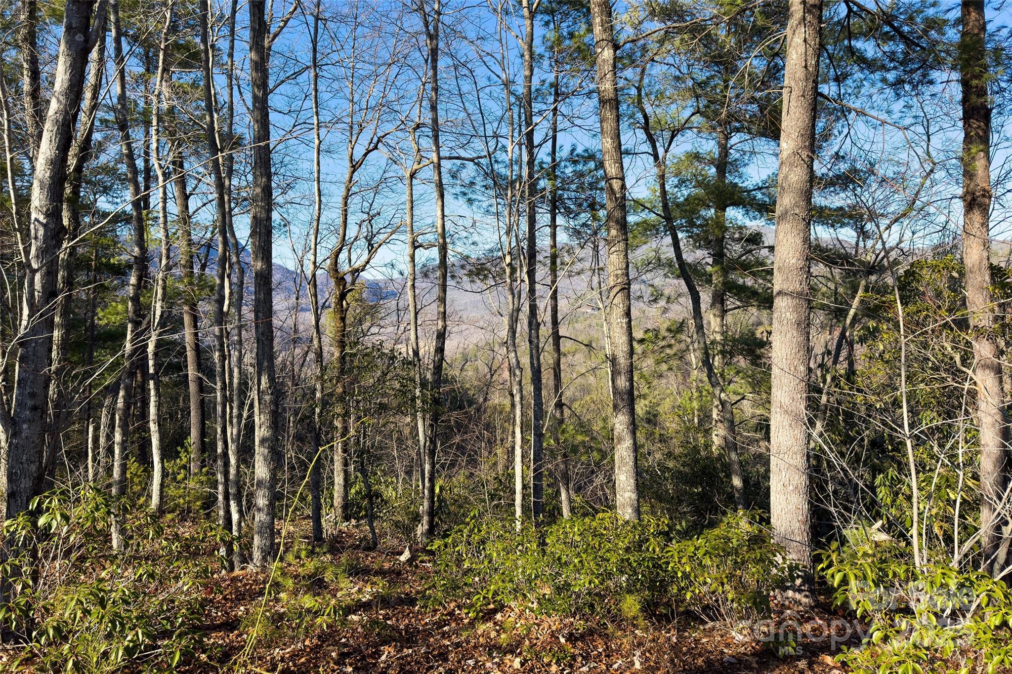 Lot #45 Fox Ridge Trail Property Photo 17