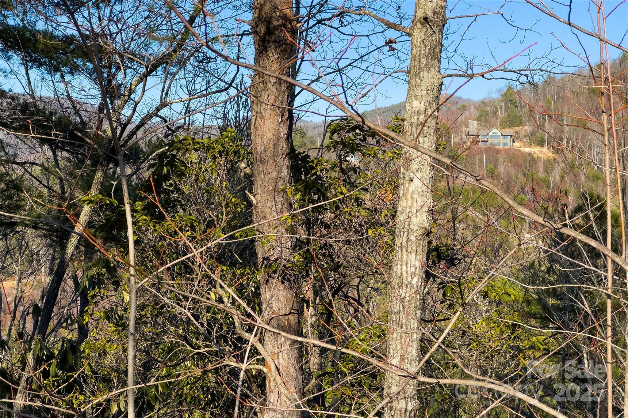 Lot #45 Fox Ridge Trail Property Photo 18