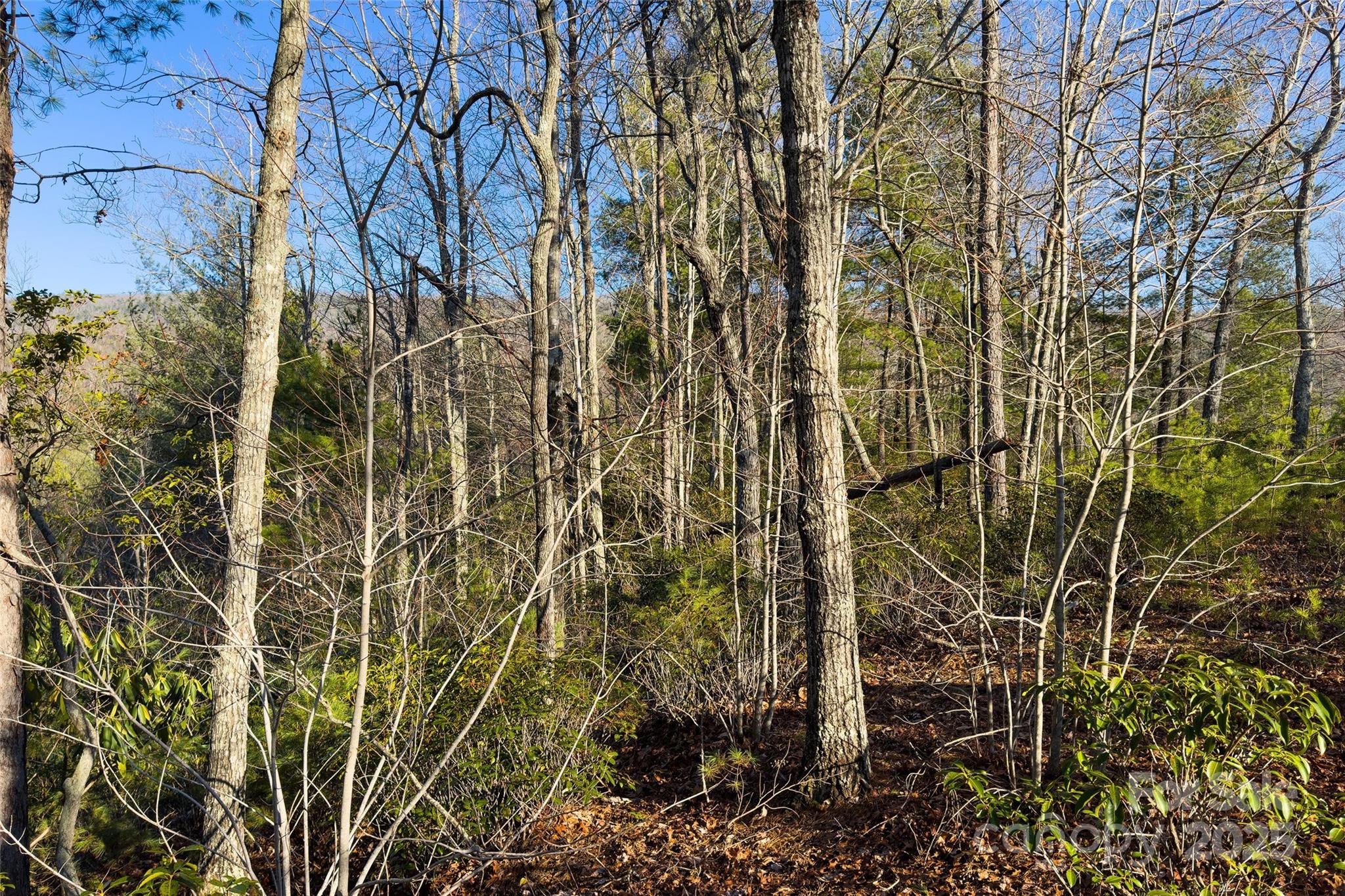 Lot #45 Fox Ridge Trail Property Photo 19