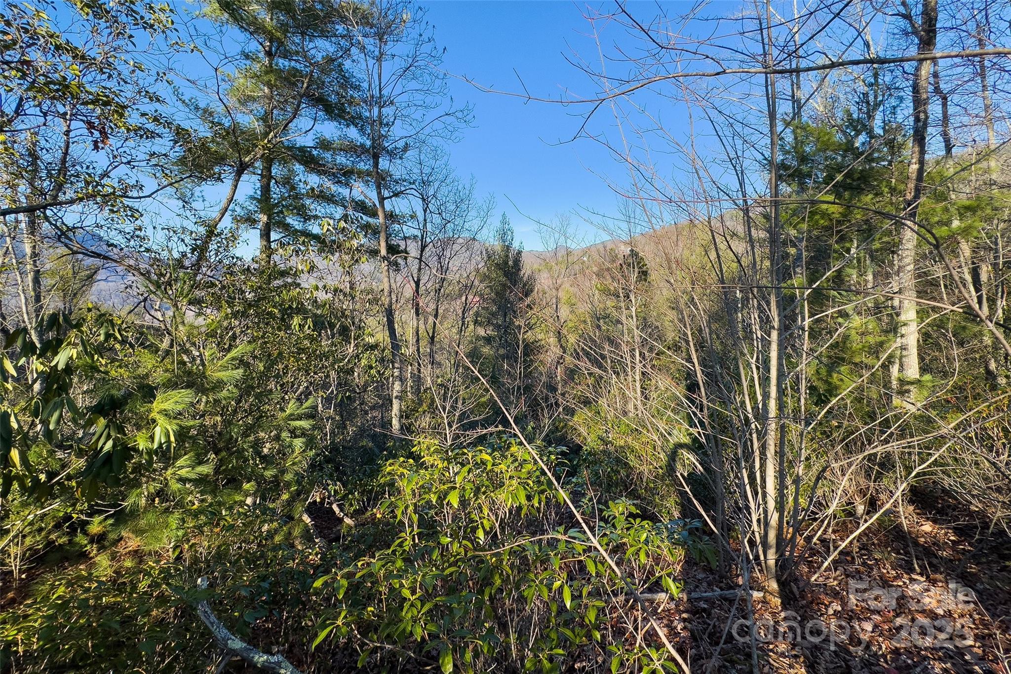 Lot #45 Fox Ridge Trail Property Photo 20