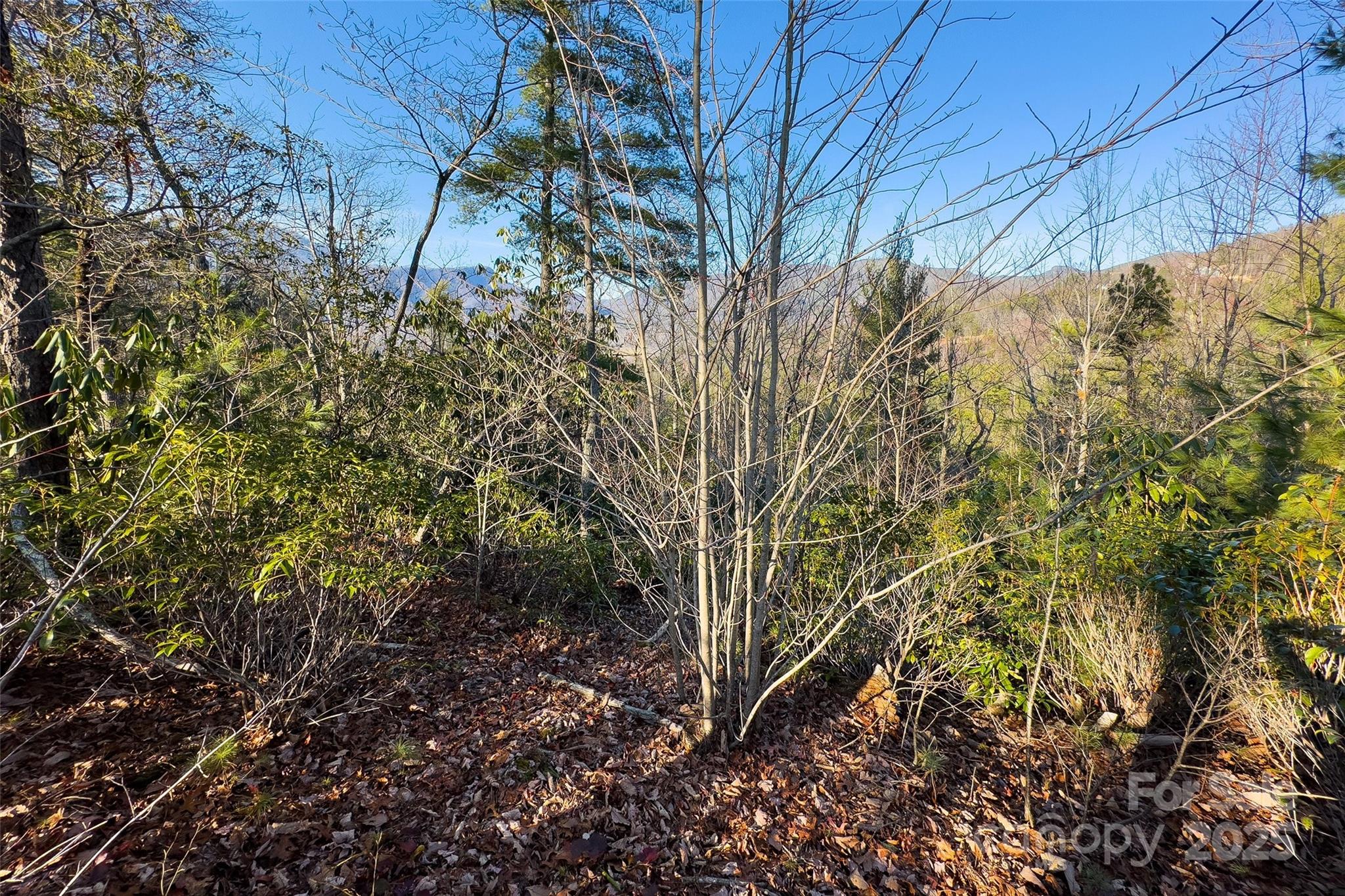 Lot #45 Fox Ridge Trail Property Photo 21