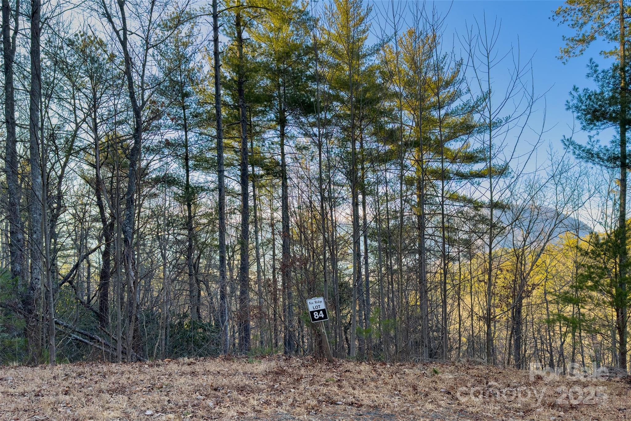 Lot #84 Little Fox Run Property Photo 2
