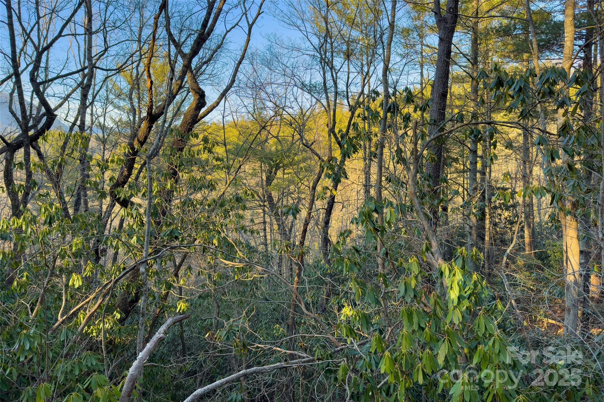 Lot #84 Little Fox Run Property Photo 9