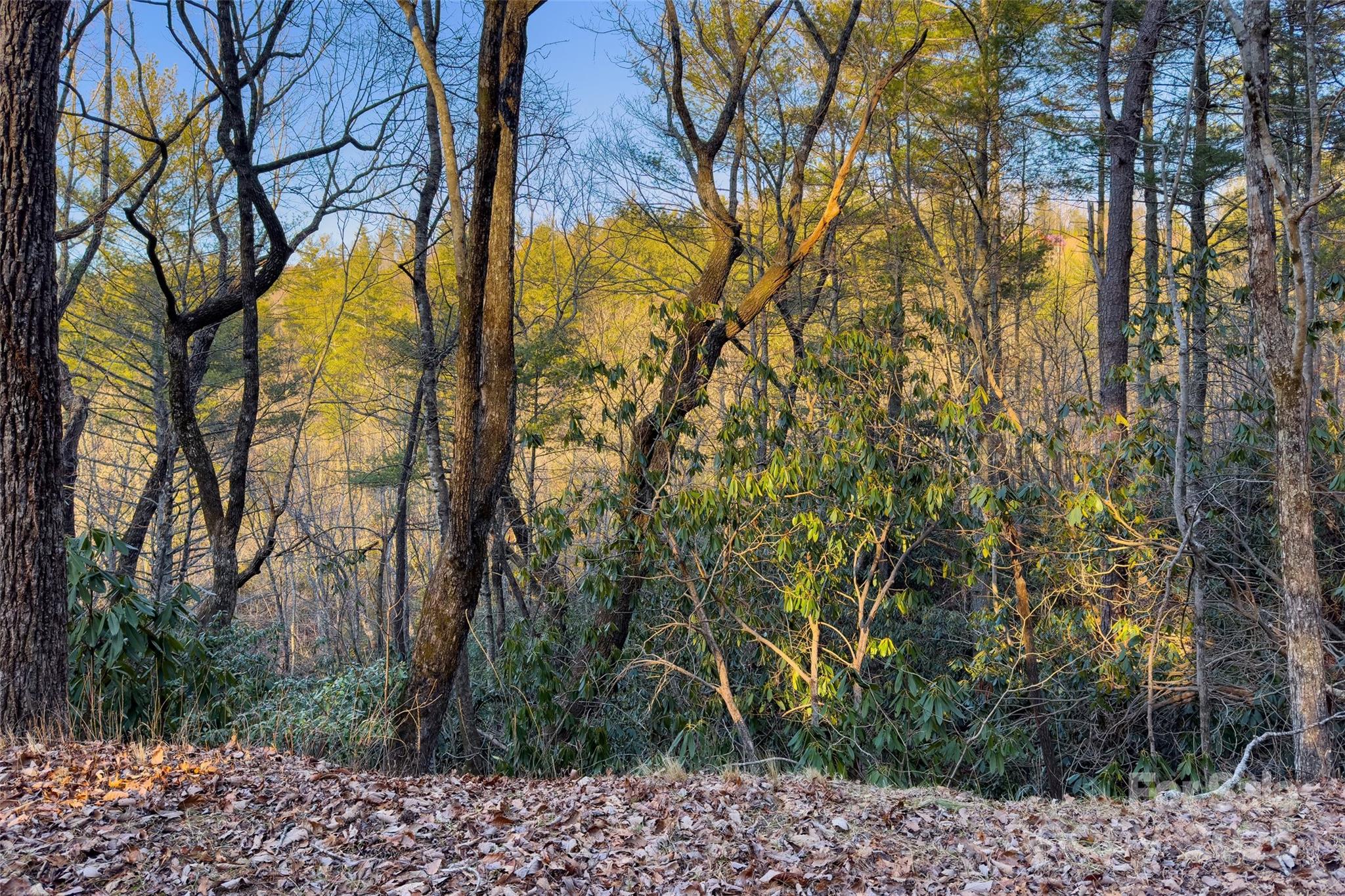 Lot #84 Little Fox Run Property Photo 10