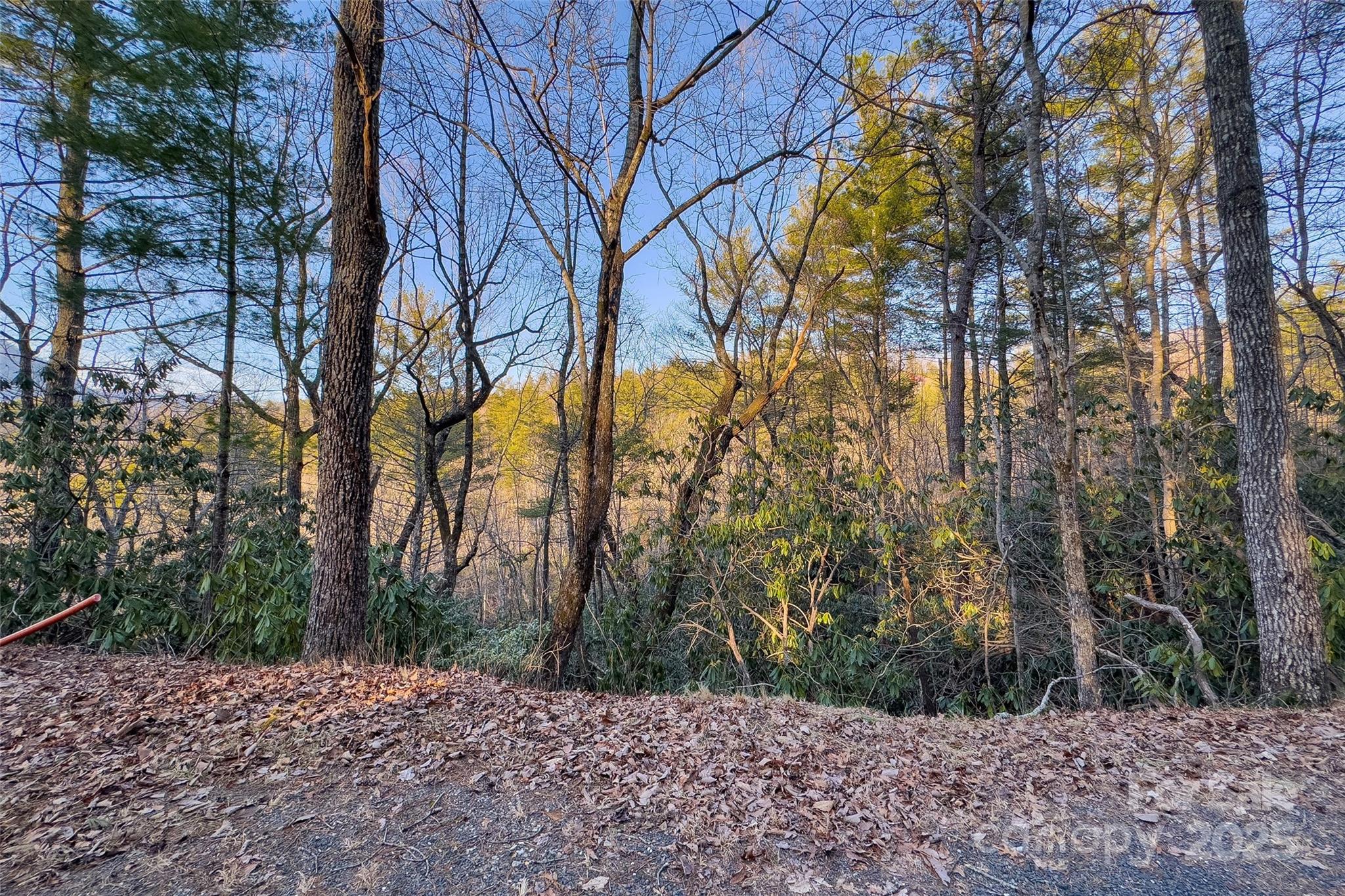 Lot #84 Little Fox Run Property Photo 11