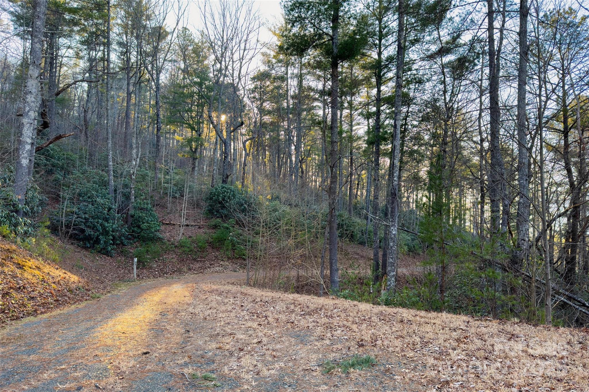 Lot #84 Little Fox Run Property Photo 12
