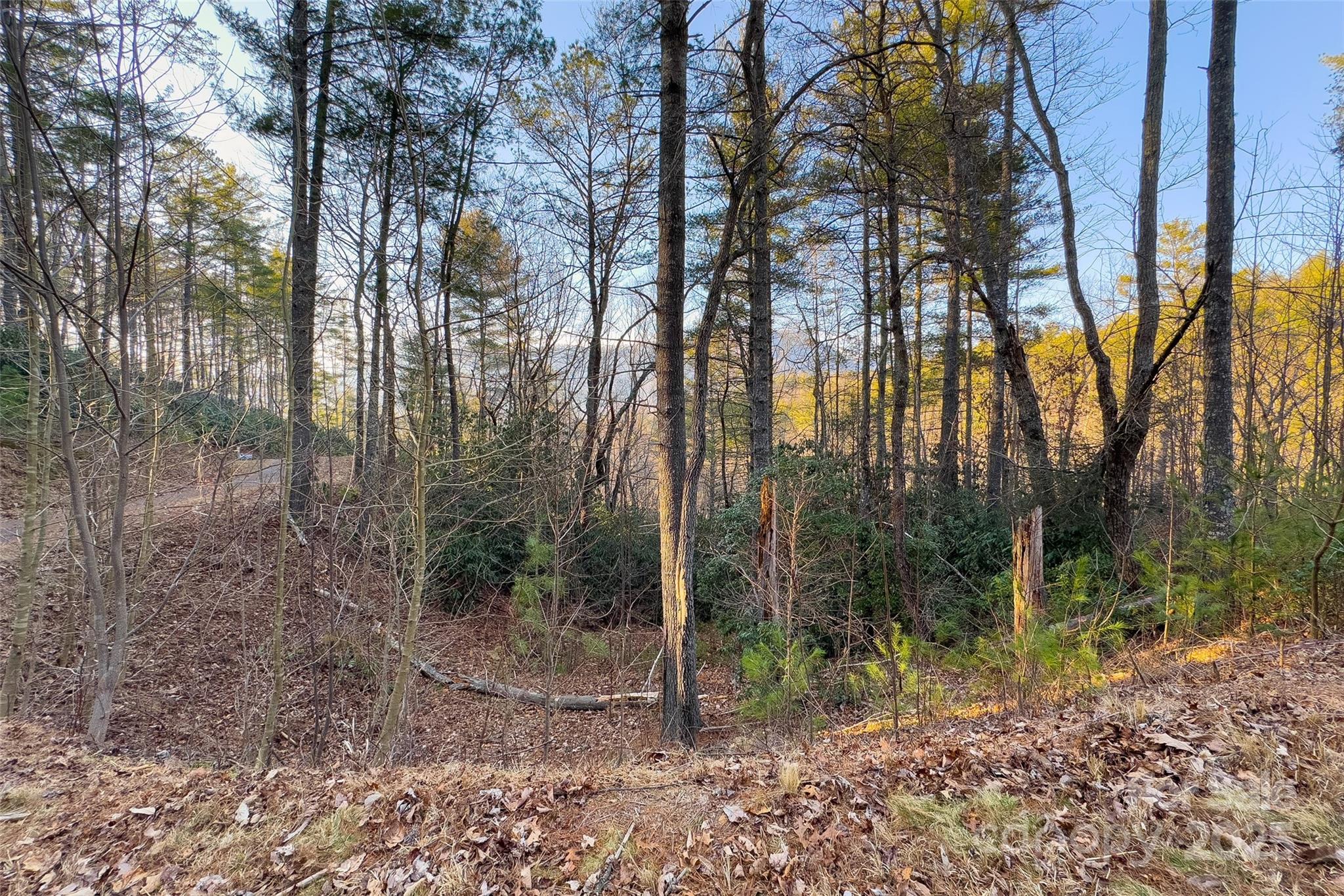 Lot #84 Little Fox Run Property Photo 13