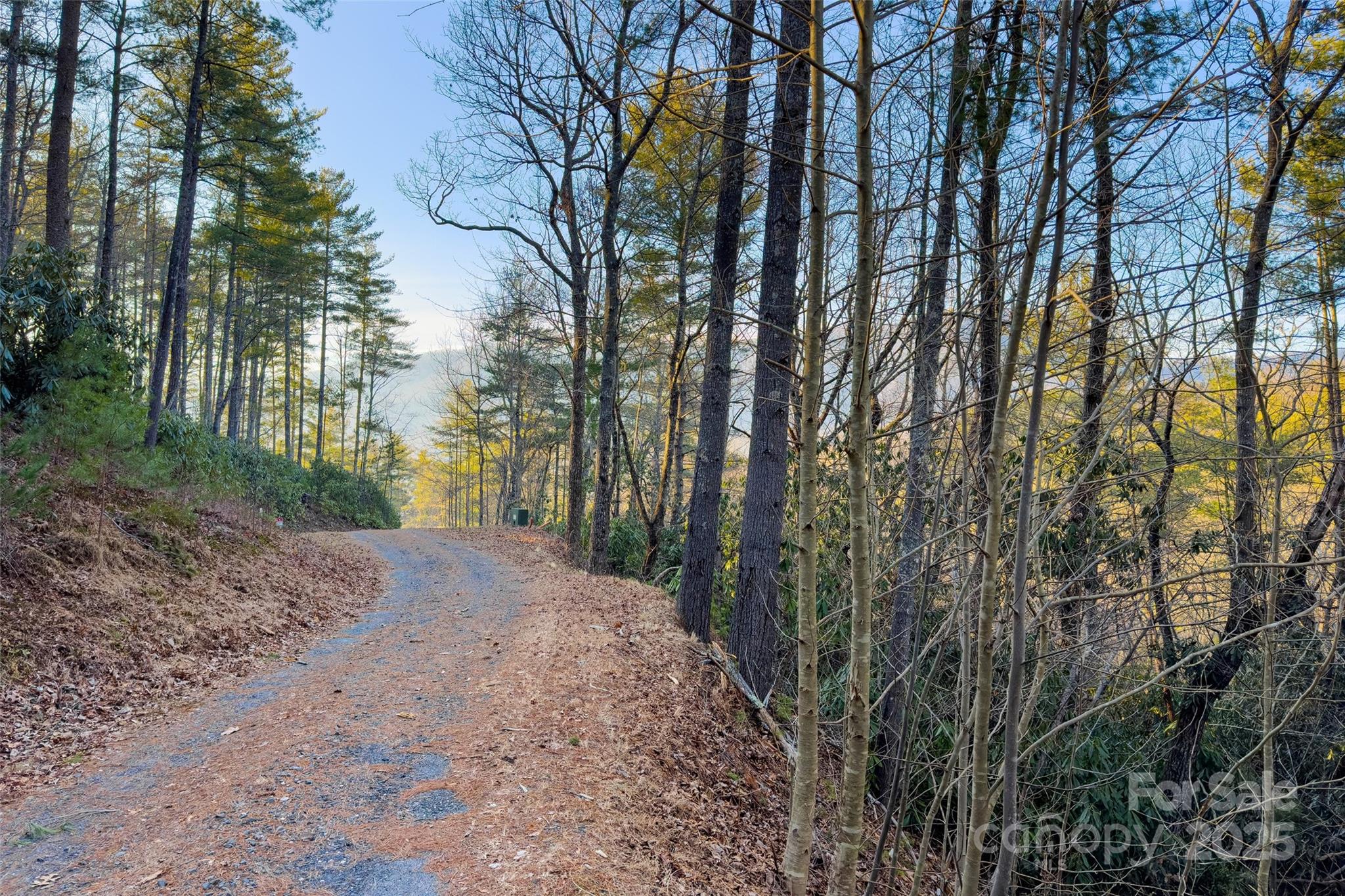 Lot #84 Little Fox Run Property Photo 14