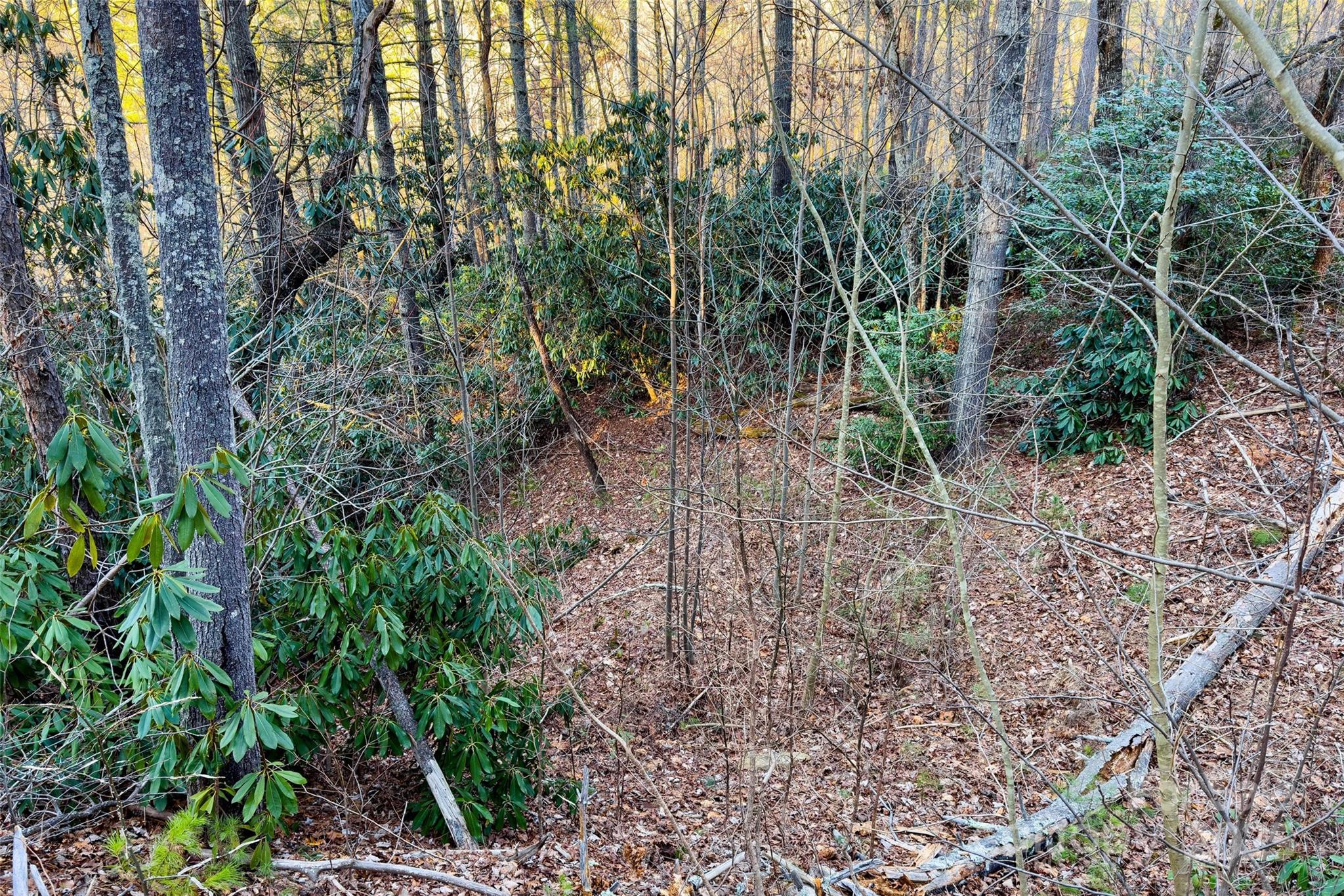 Lot #84 Little Fox Run Property Photo 15