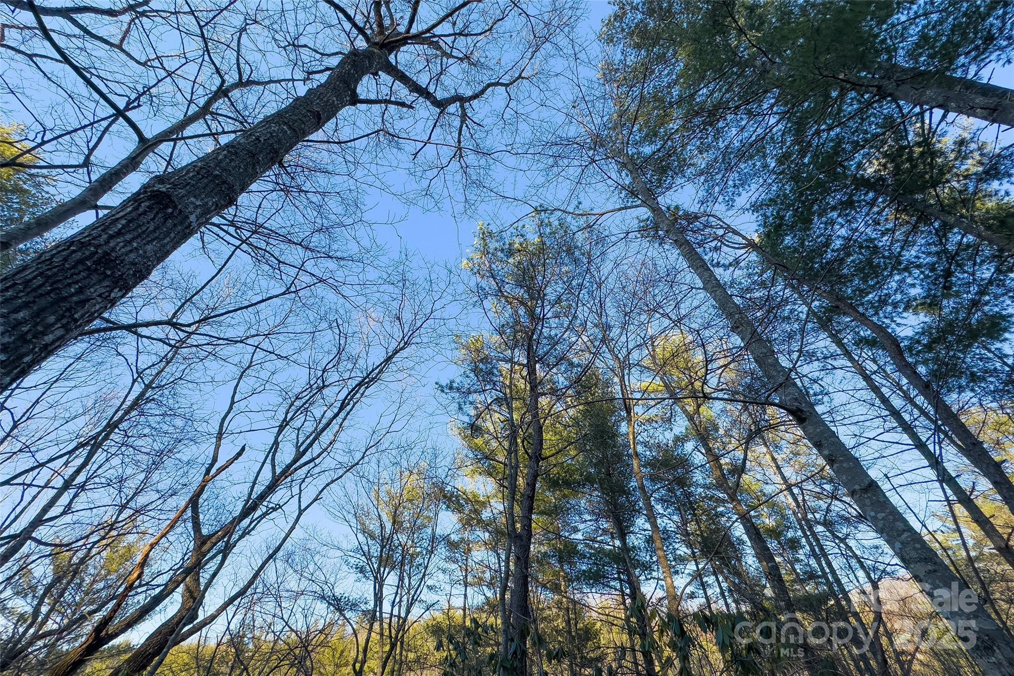 Lot #84 Little Fox Run Property Photo 16