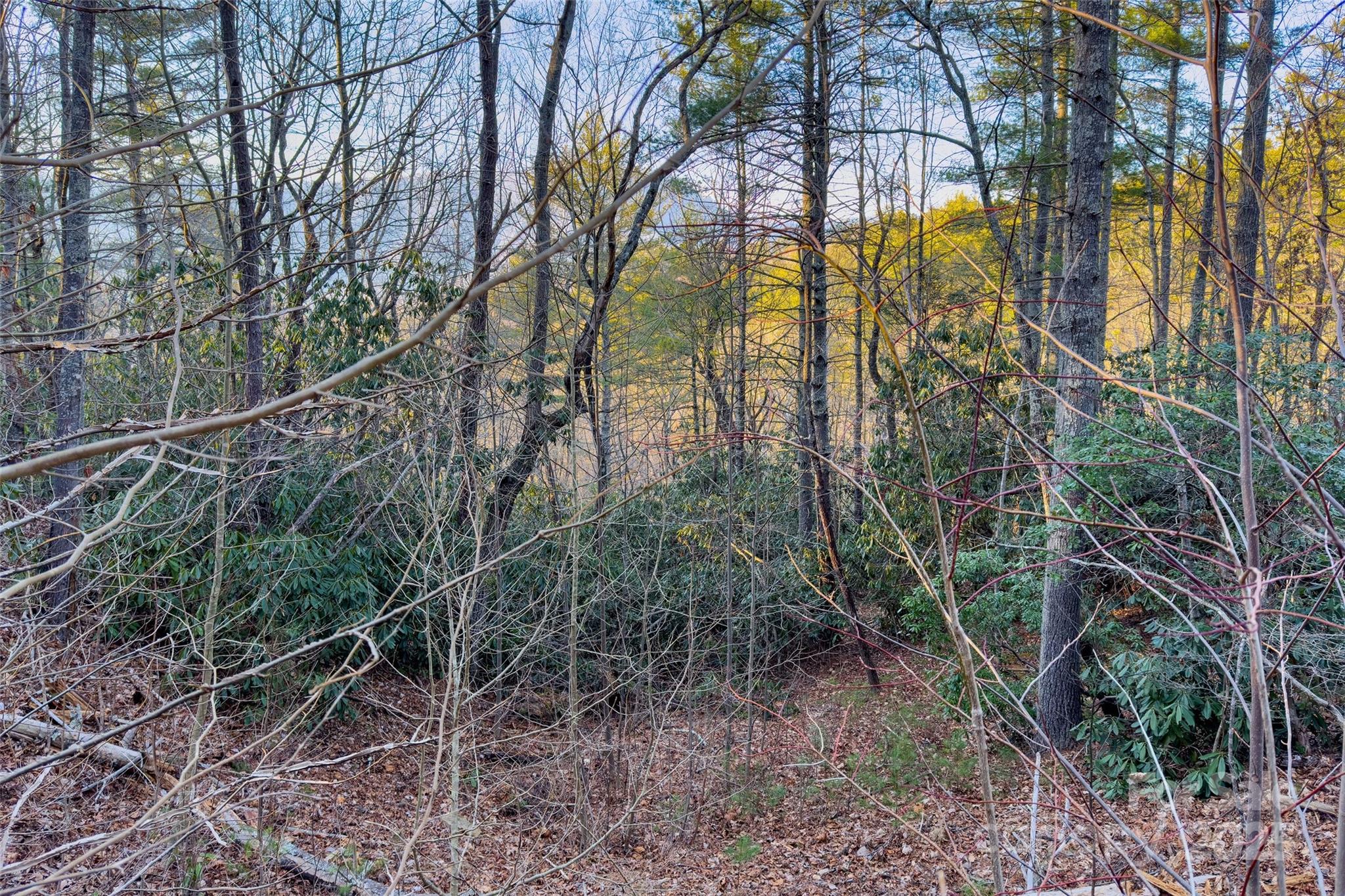 Lot #84 Little Fox Run Property Photo 17