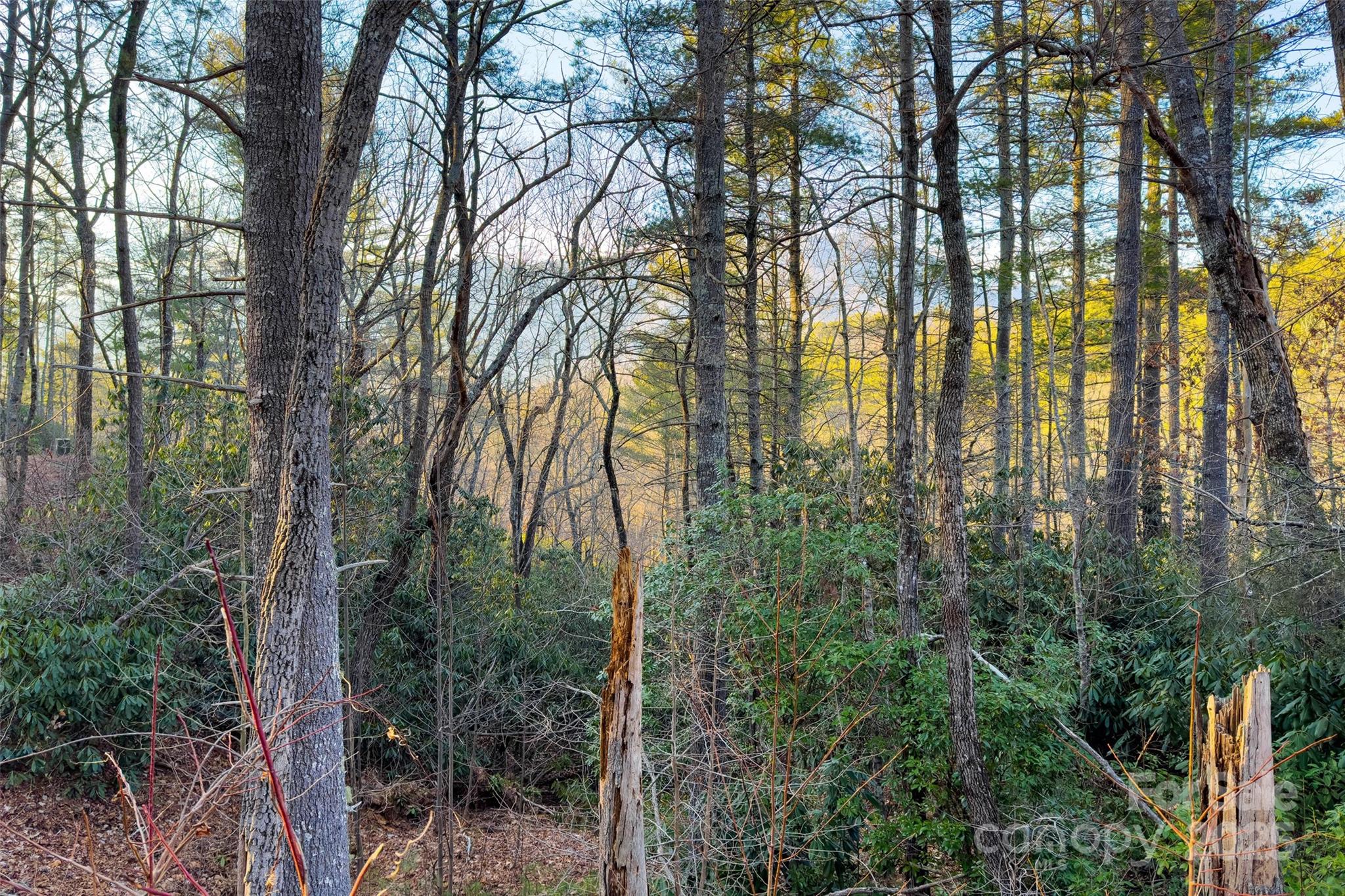 Lot #84 Little Fox Run Property Photo 18