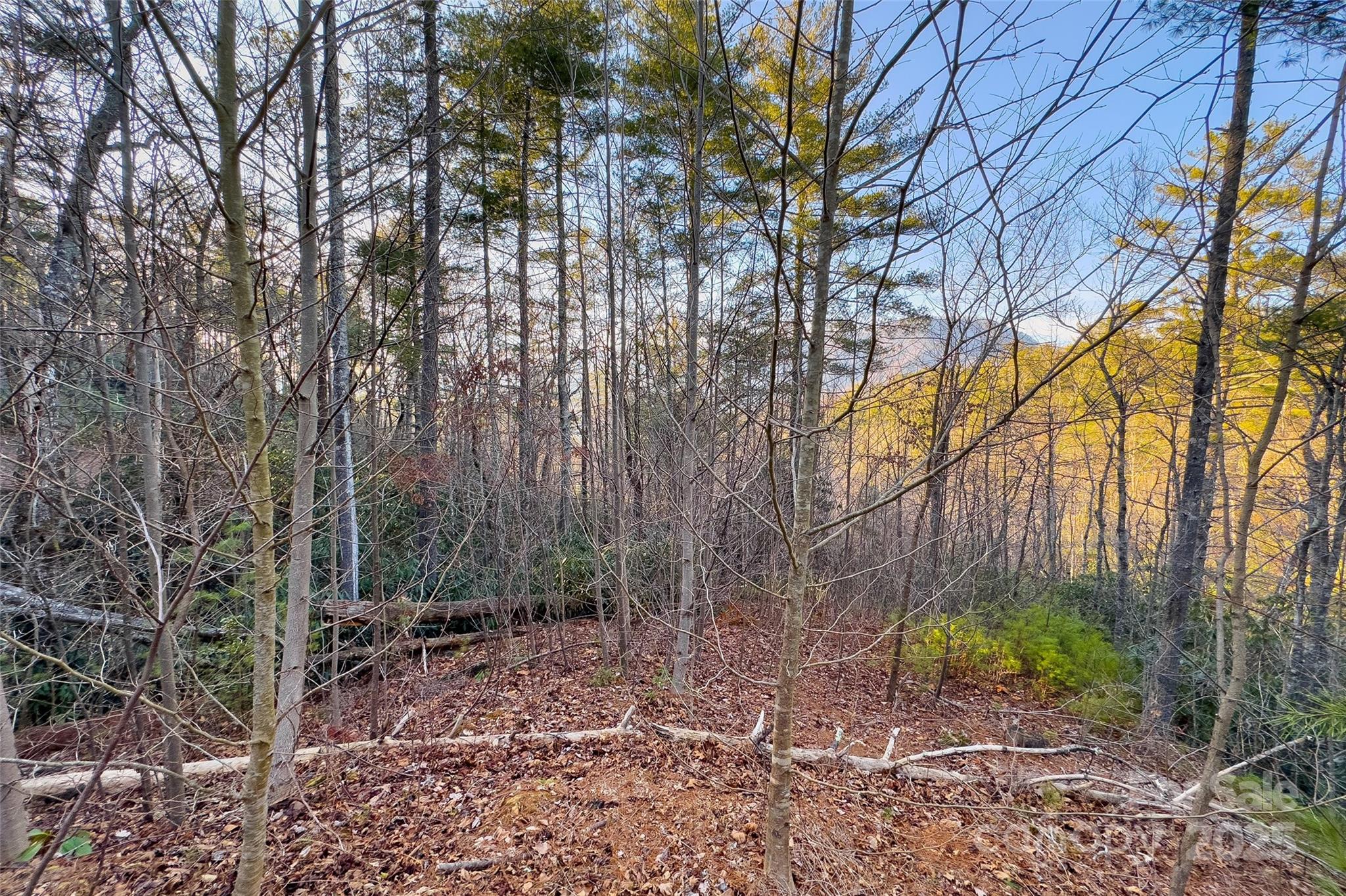 Lot #84 Little Fox Run Property Photo 19
