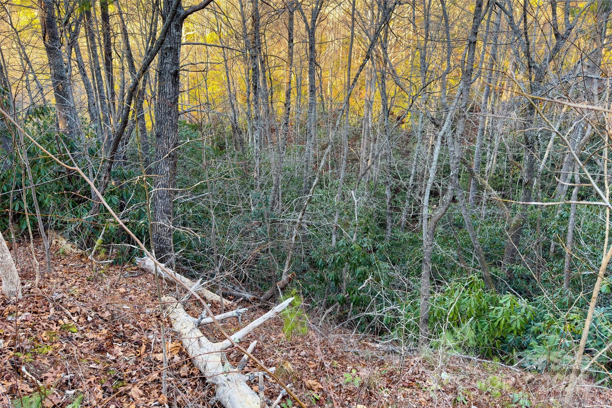 Lot #84 Little Fox Run Property Photo 20