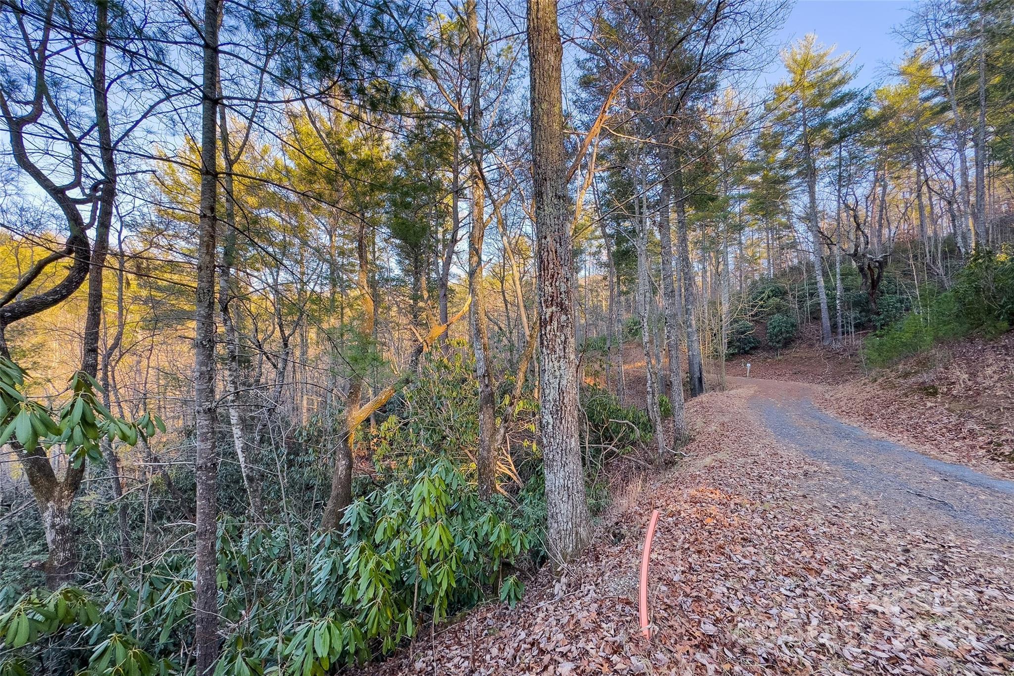 Lot #84 Little Fox Run Property Photo 21