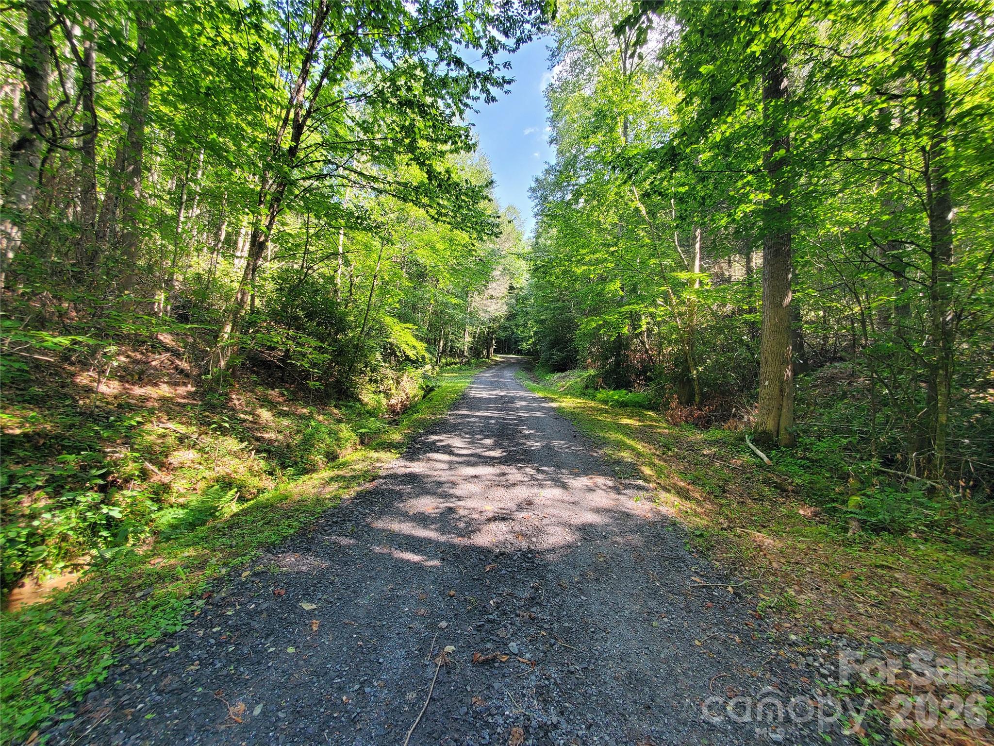 5023 Elk Park Highway Property Photo 34