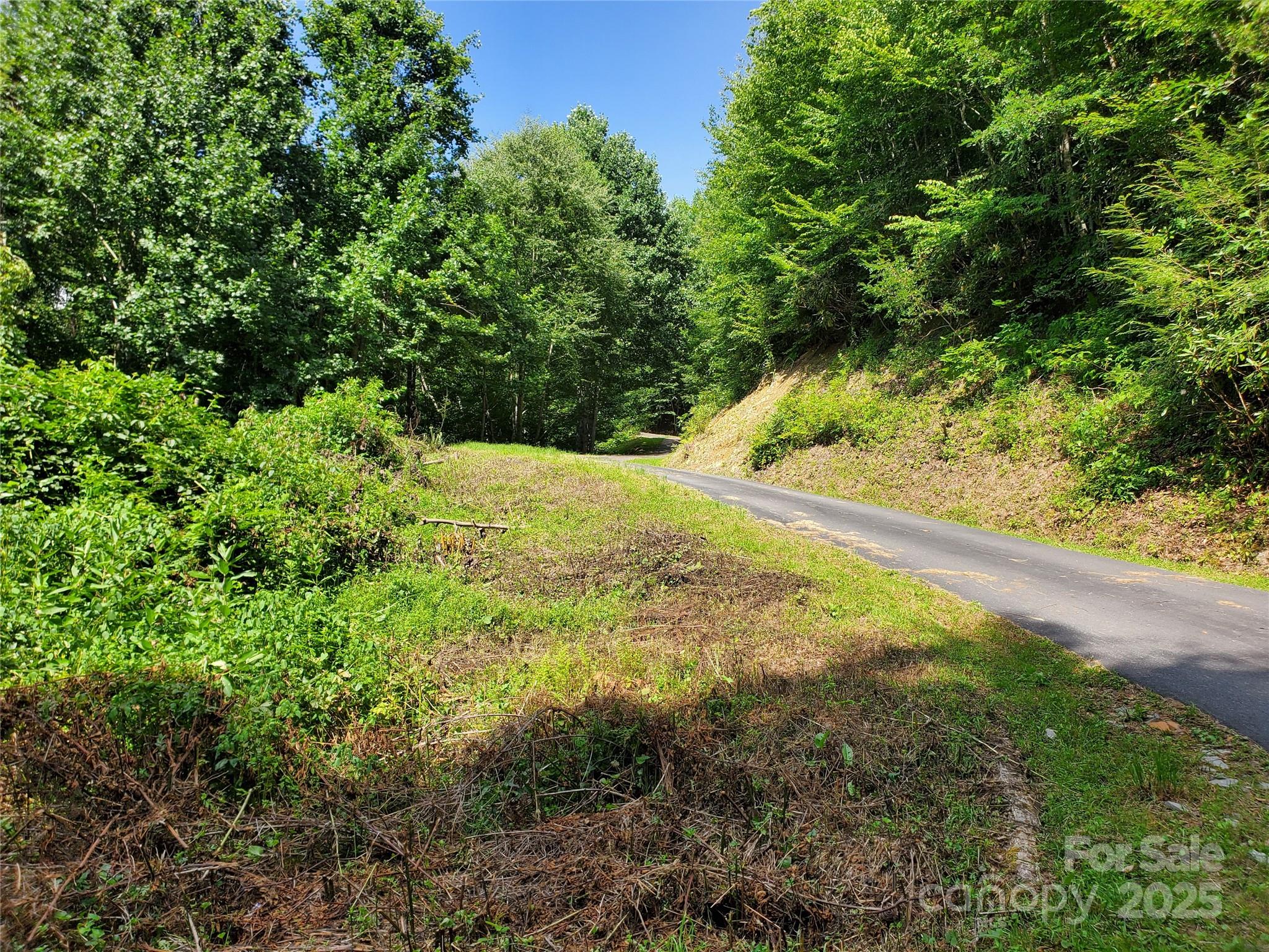 5023 Elk Park Highway Property Photo 35