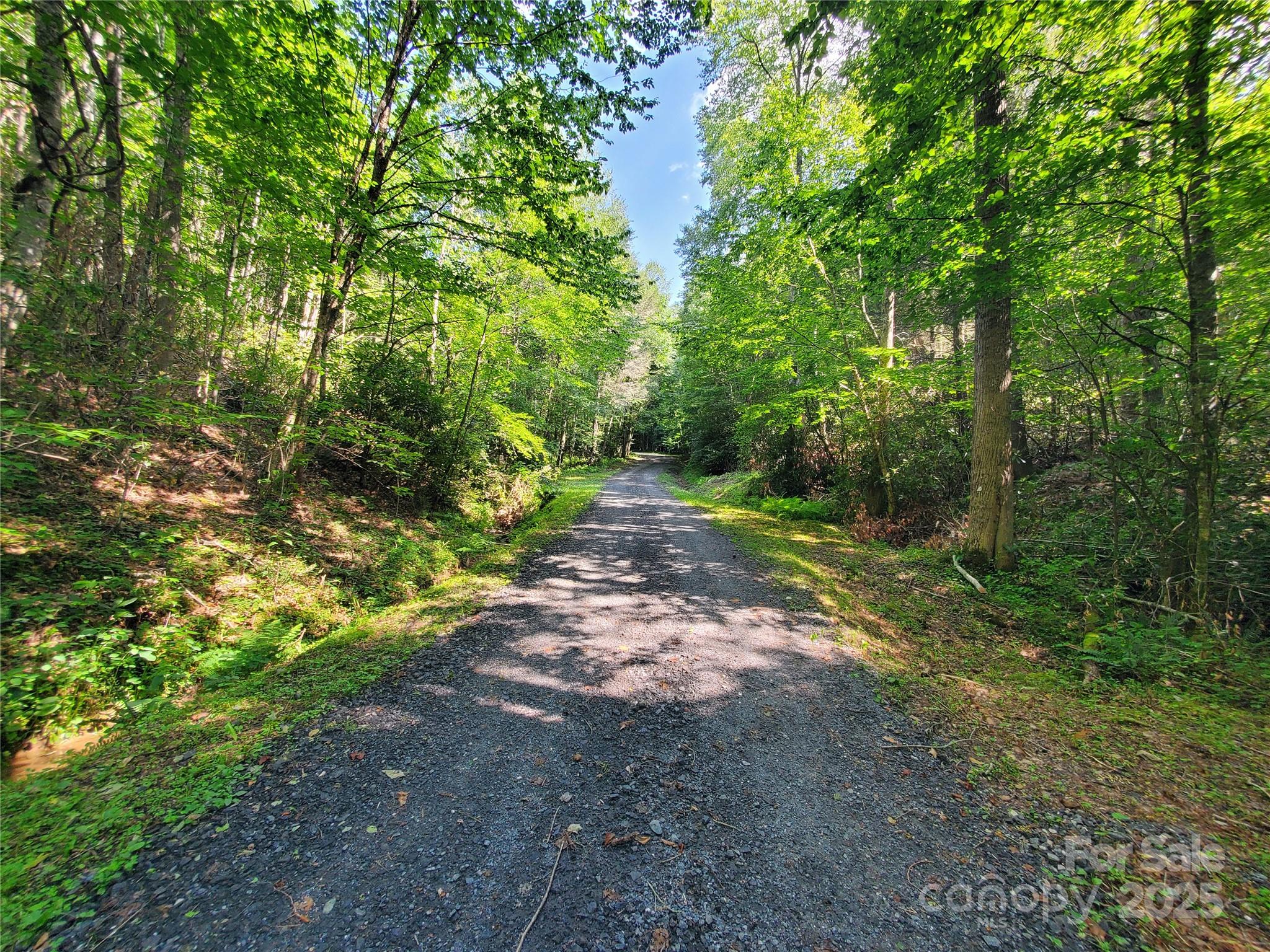 5023 Elk Park Highway Property Photo 37