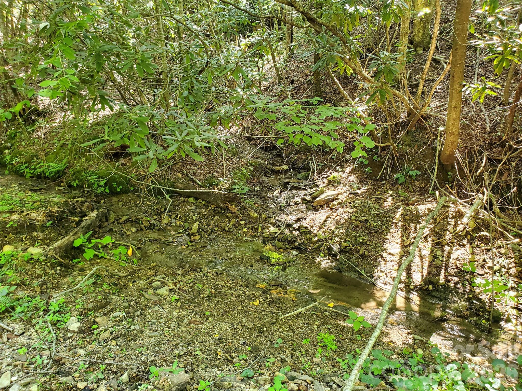 5023 Elk Park Highway Property Photo 37