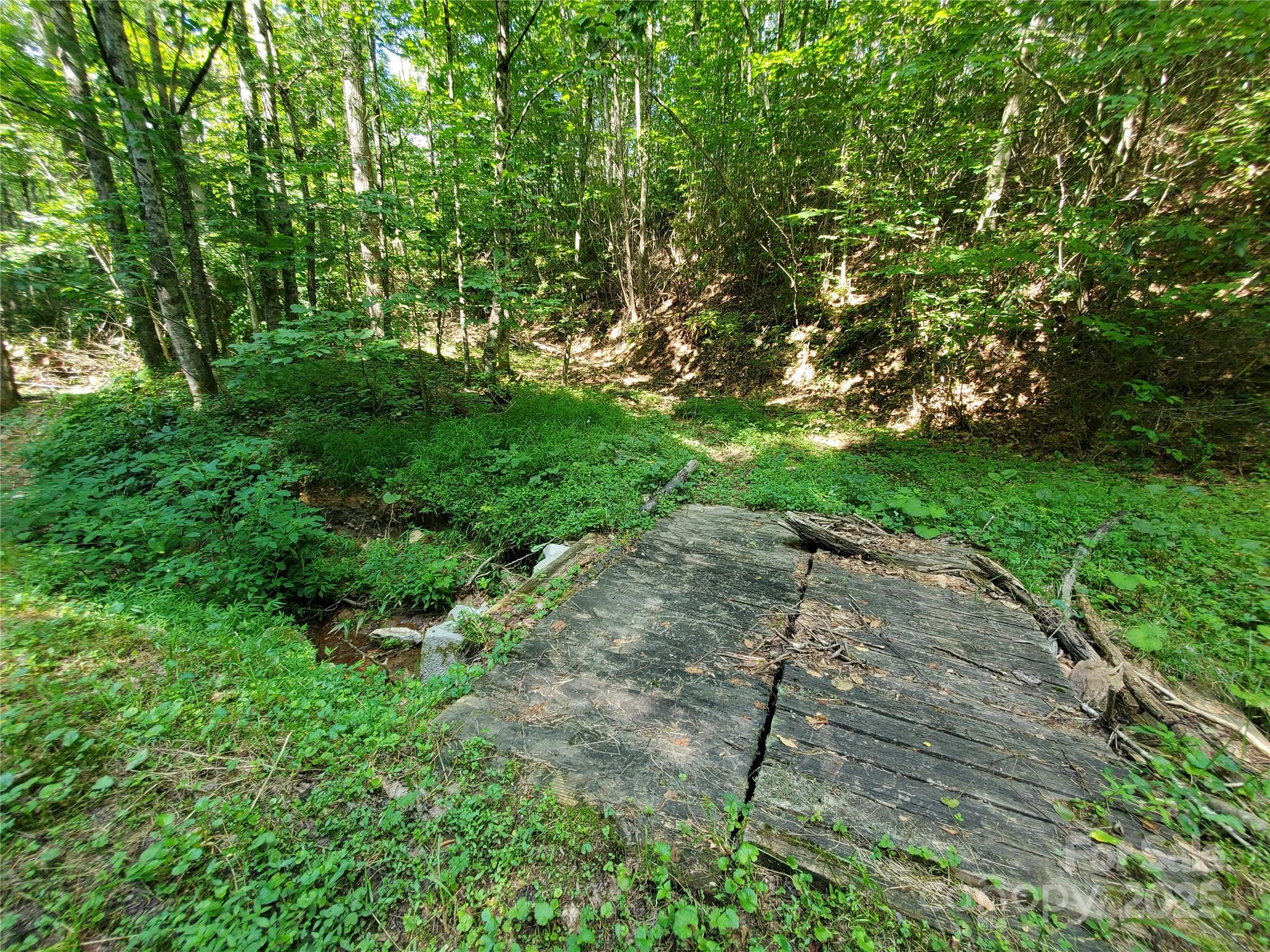 5023 Elk Park Highway Property Photo 39