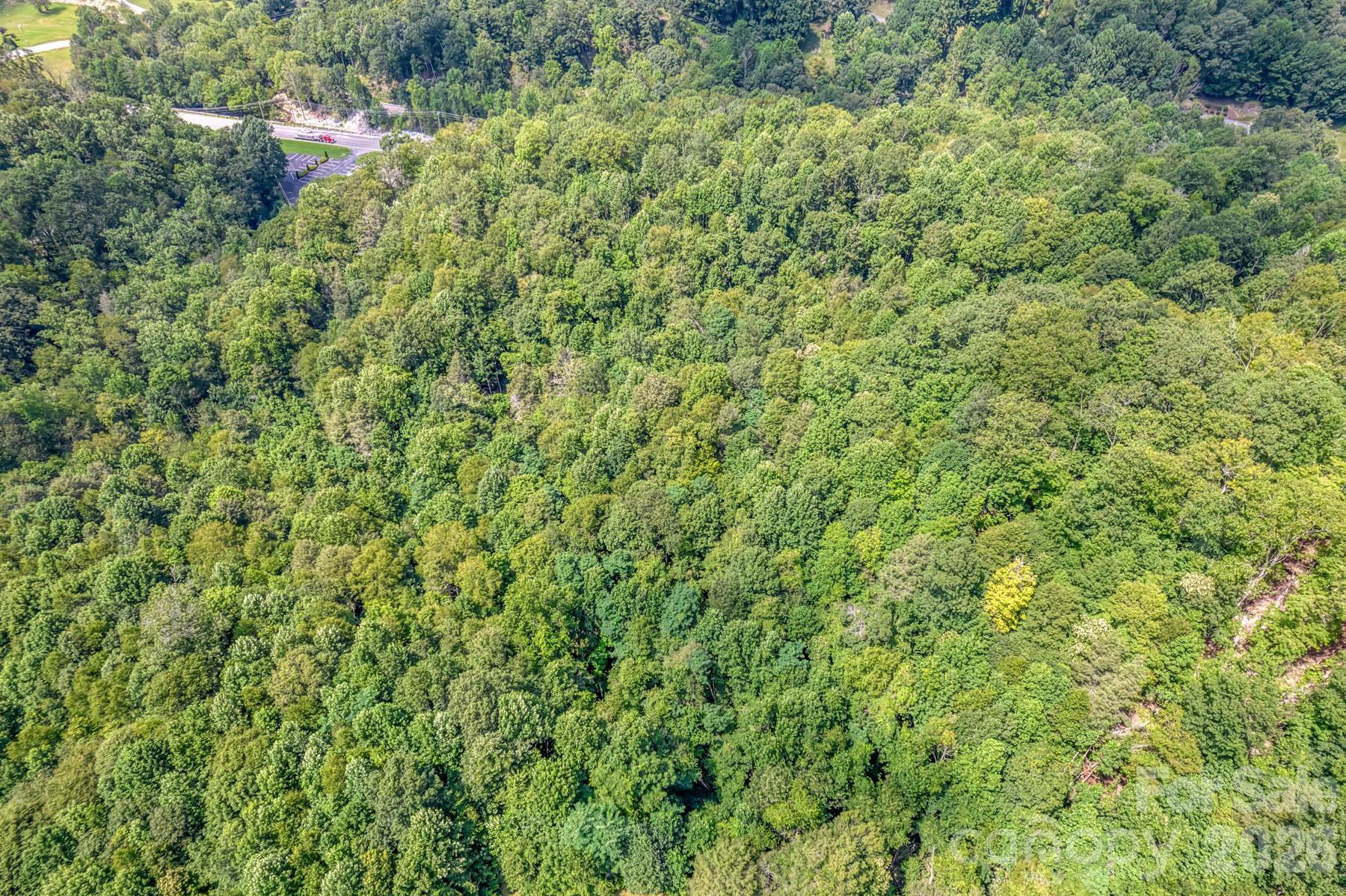 5023 Elk Park Highway Property Photo 39