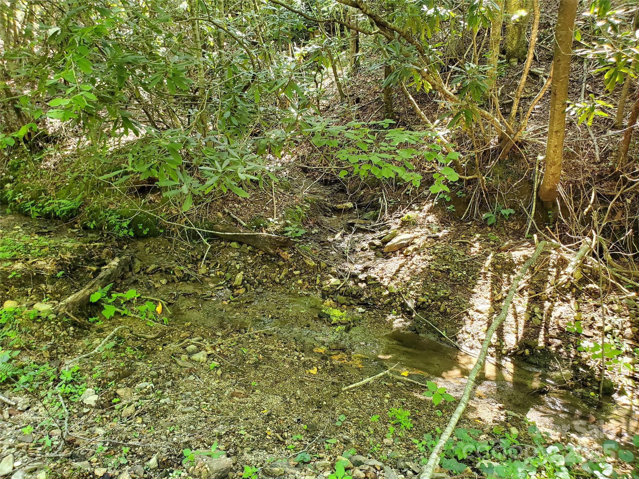 5023 Elk Park Highway Property Photo 40