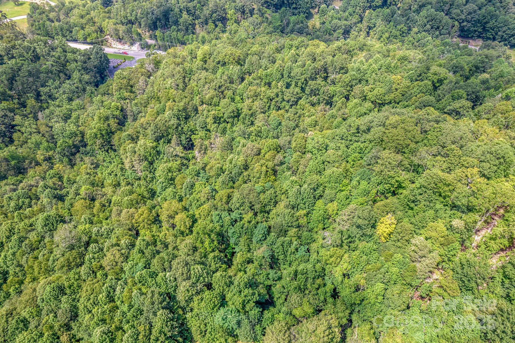 5023 Elk Park Highway Property Photo 42