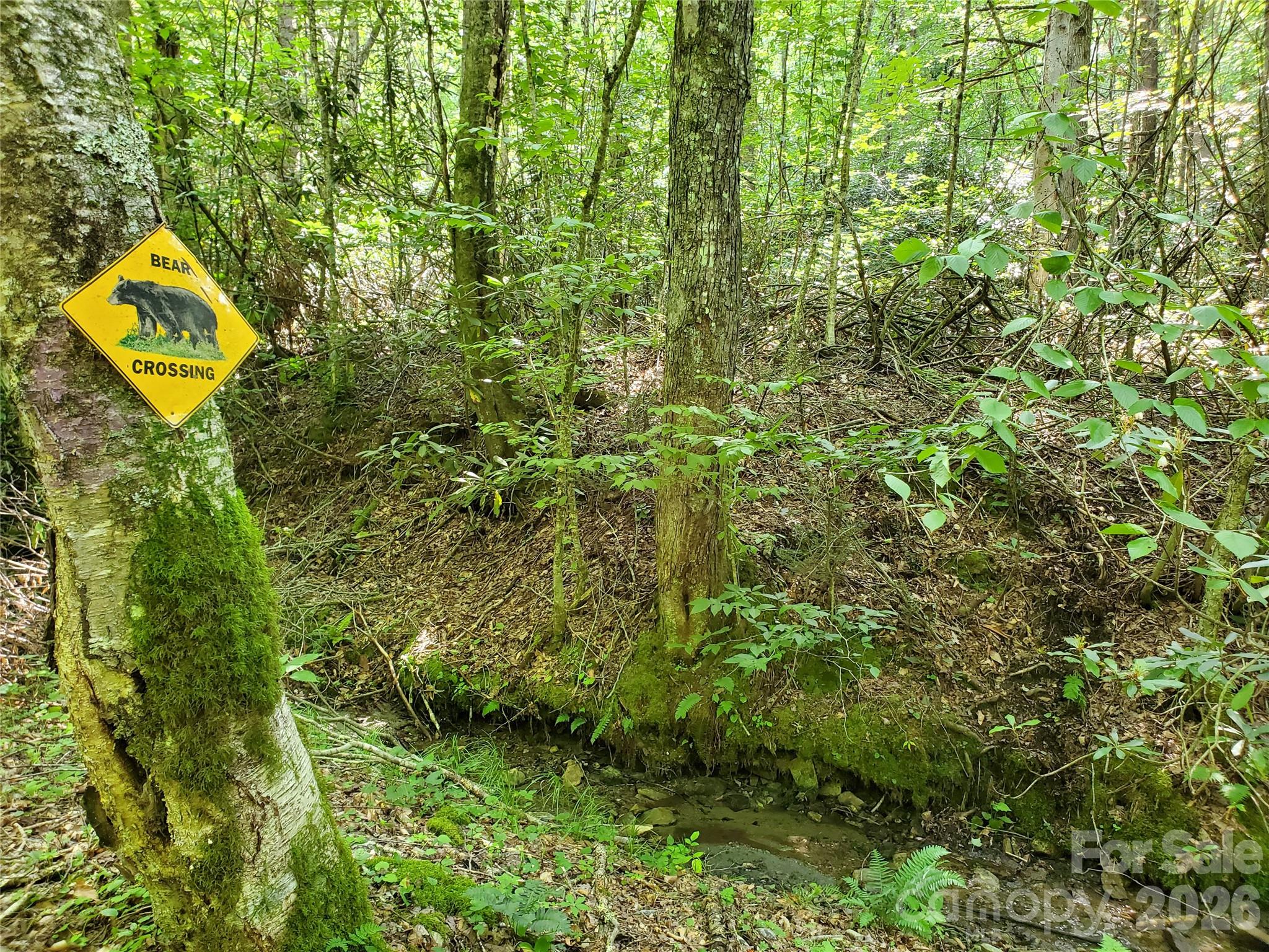 5023 Elk Park Highway Property Photo 42